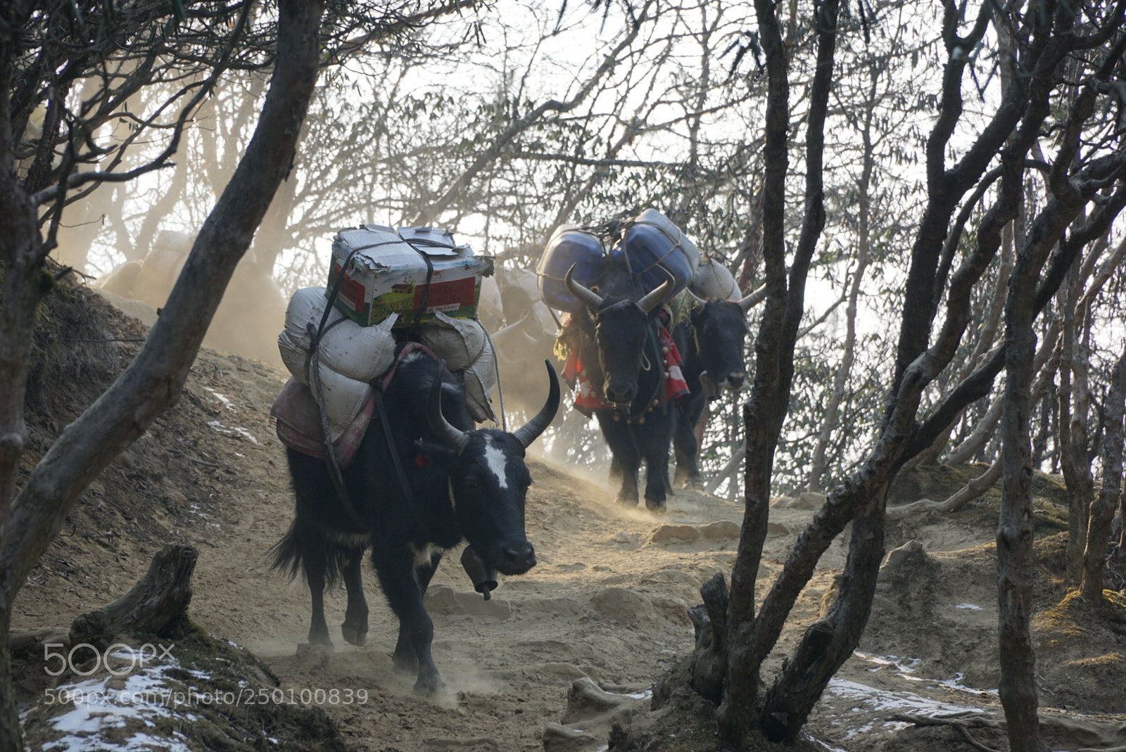 Sony a6000 sample photo. Transportation in hymalaya  photography