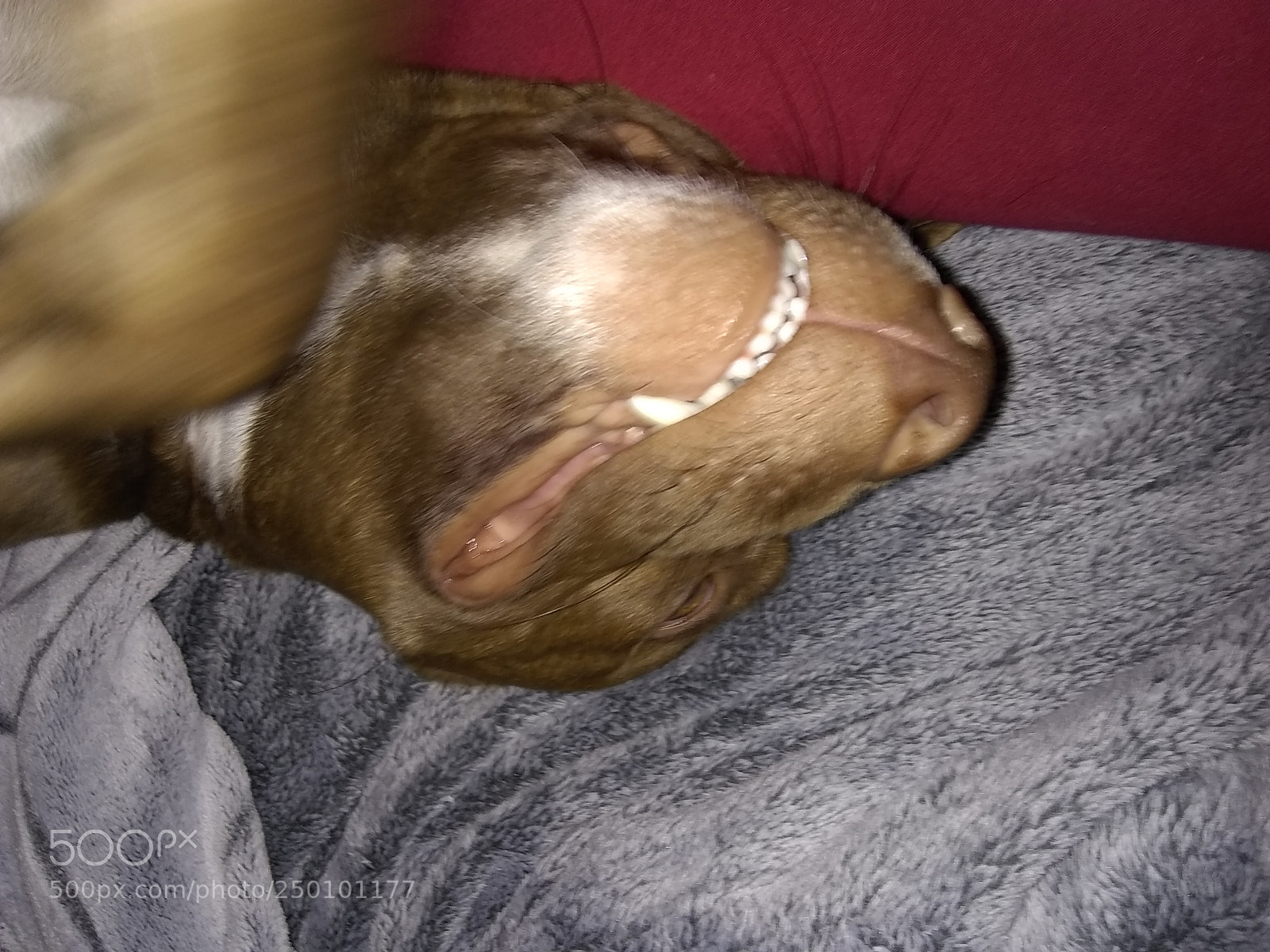 Motorola Moto E4 sample photo. Untitled photography