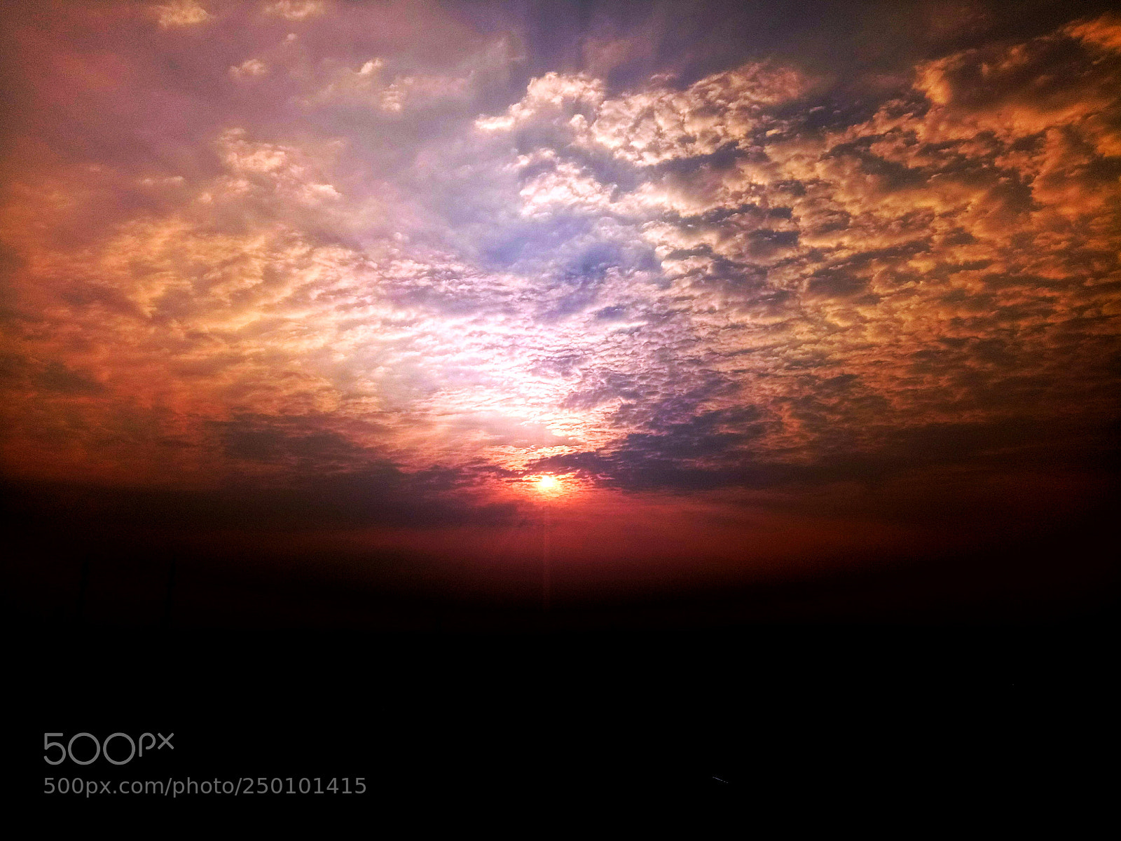 OPPO A1601 sample photo. Untitled photography