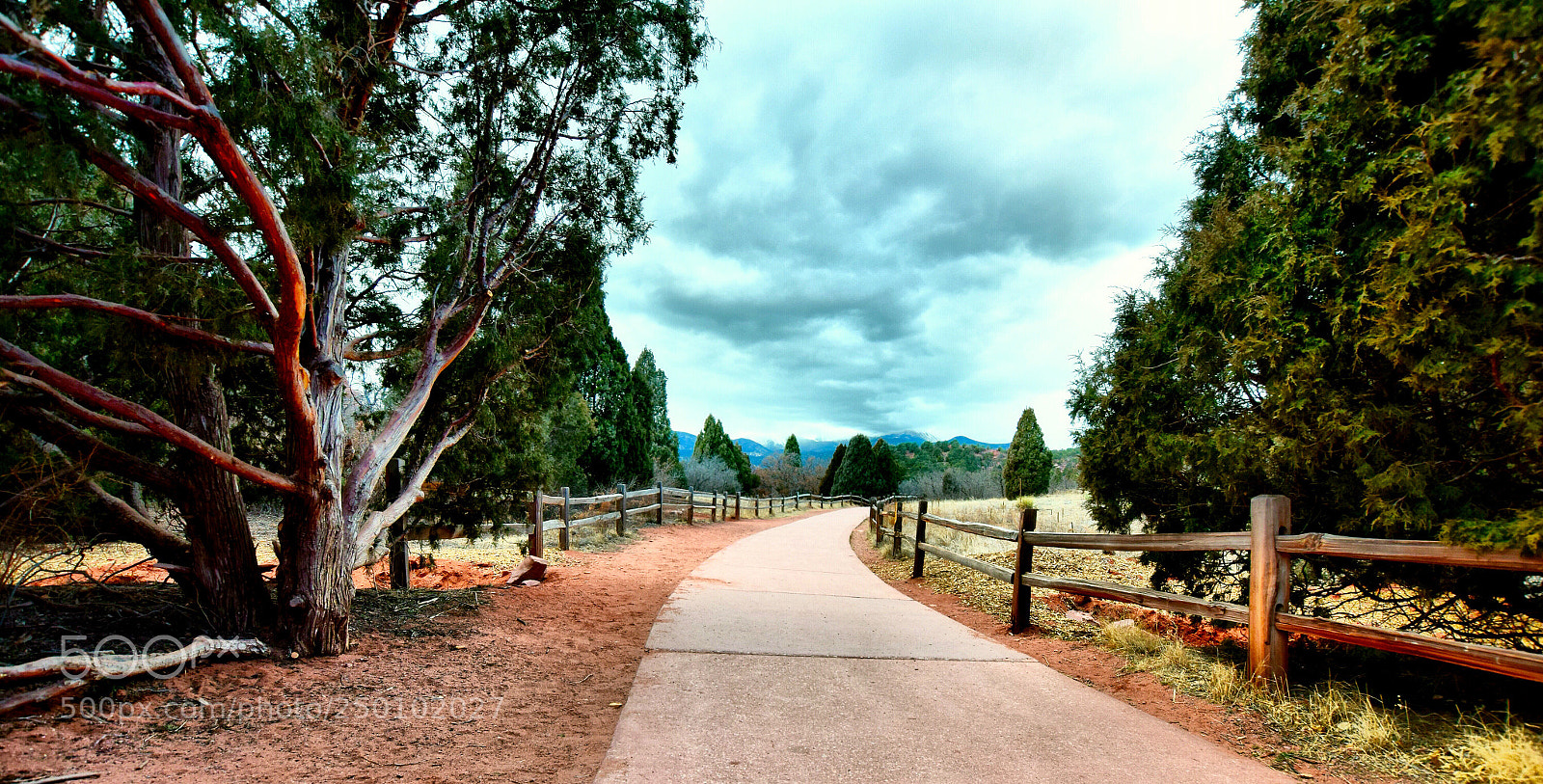 Nikon D5300 sample photo. Untitled photography