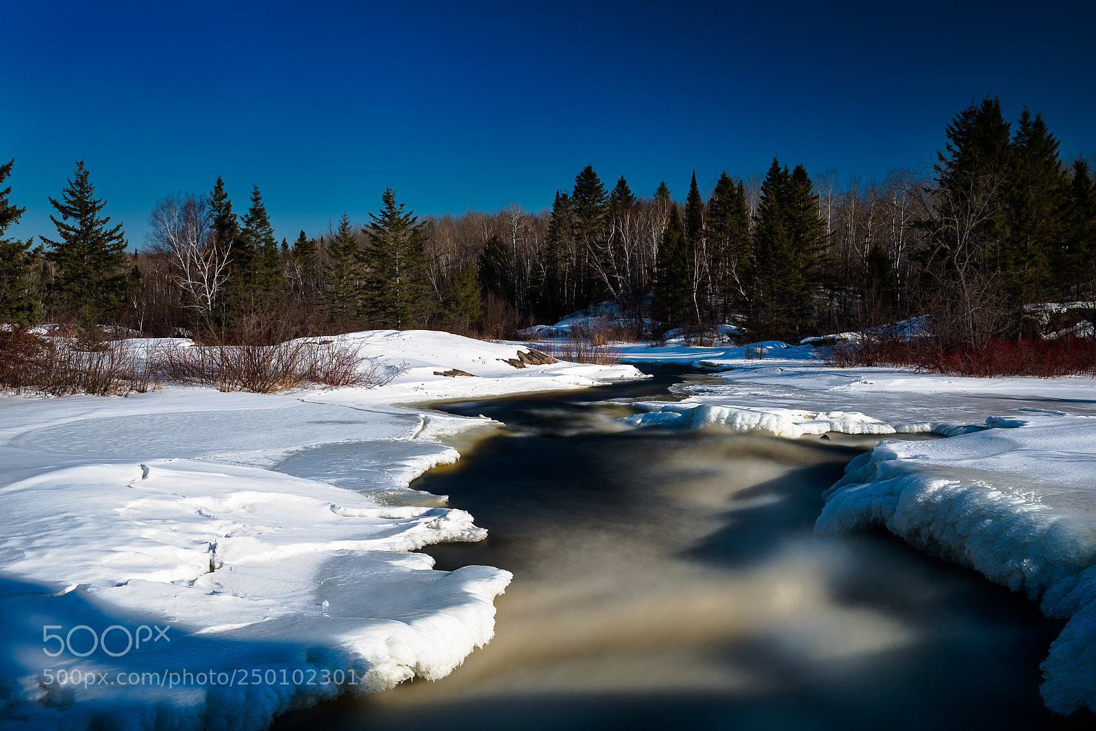 Nikon D810 sample photo. Don't stop photography
