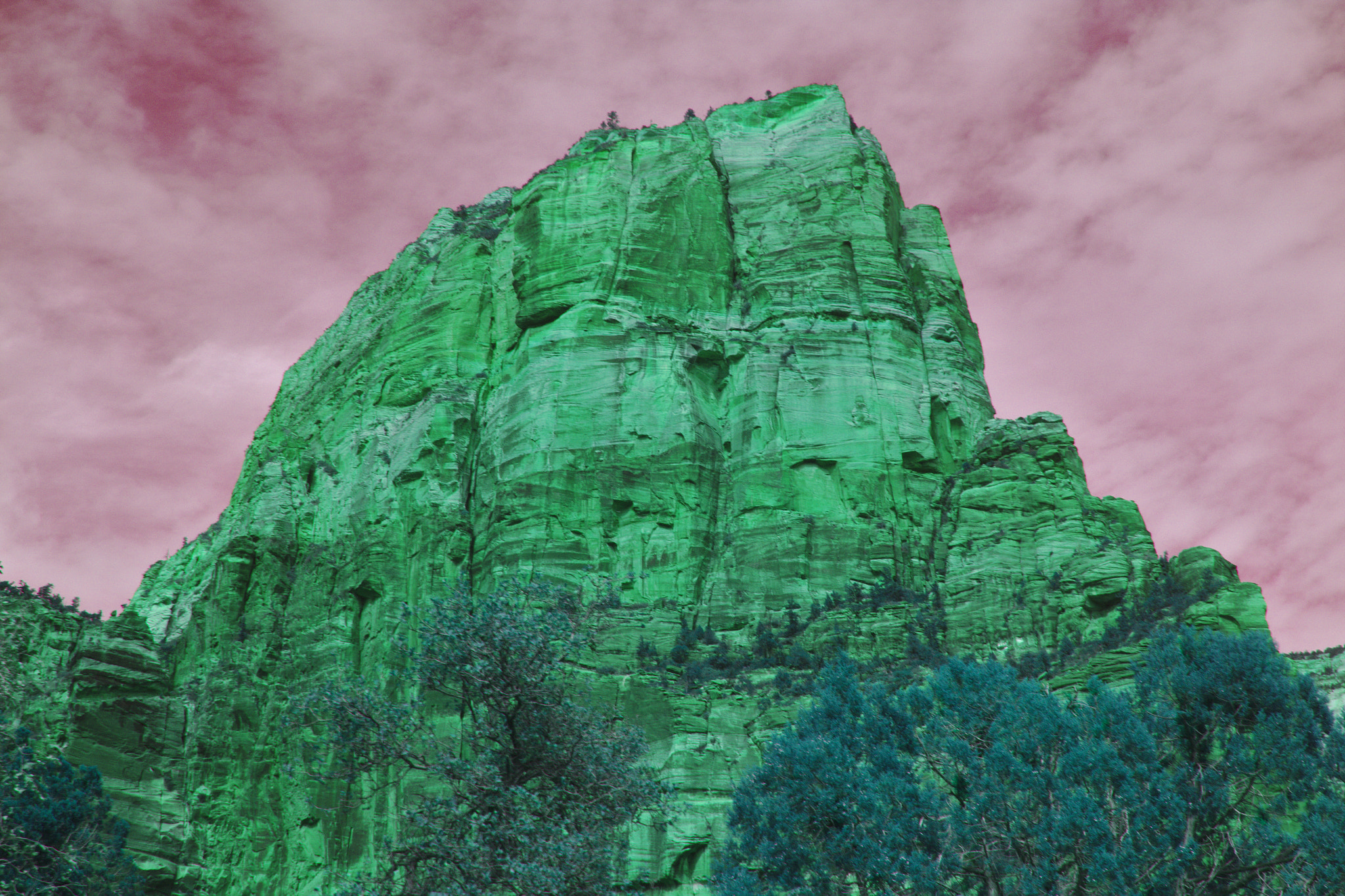 Canon EOS 550D (EOS Rebel T2i / EOS Kiss X4) sample photo. Angels landing photography