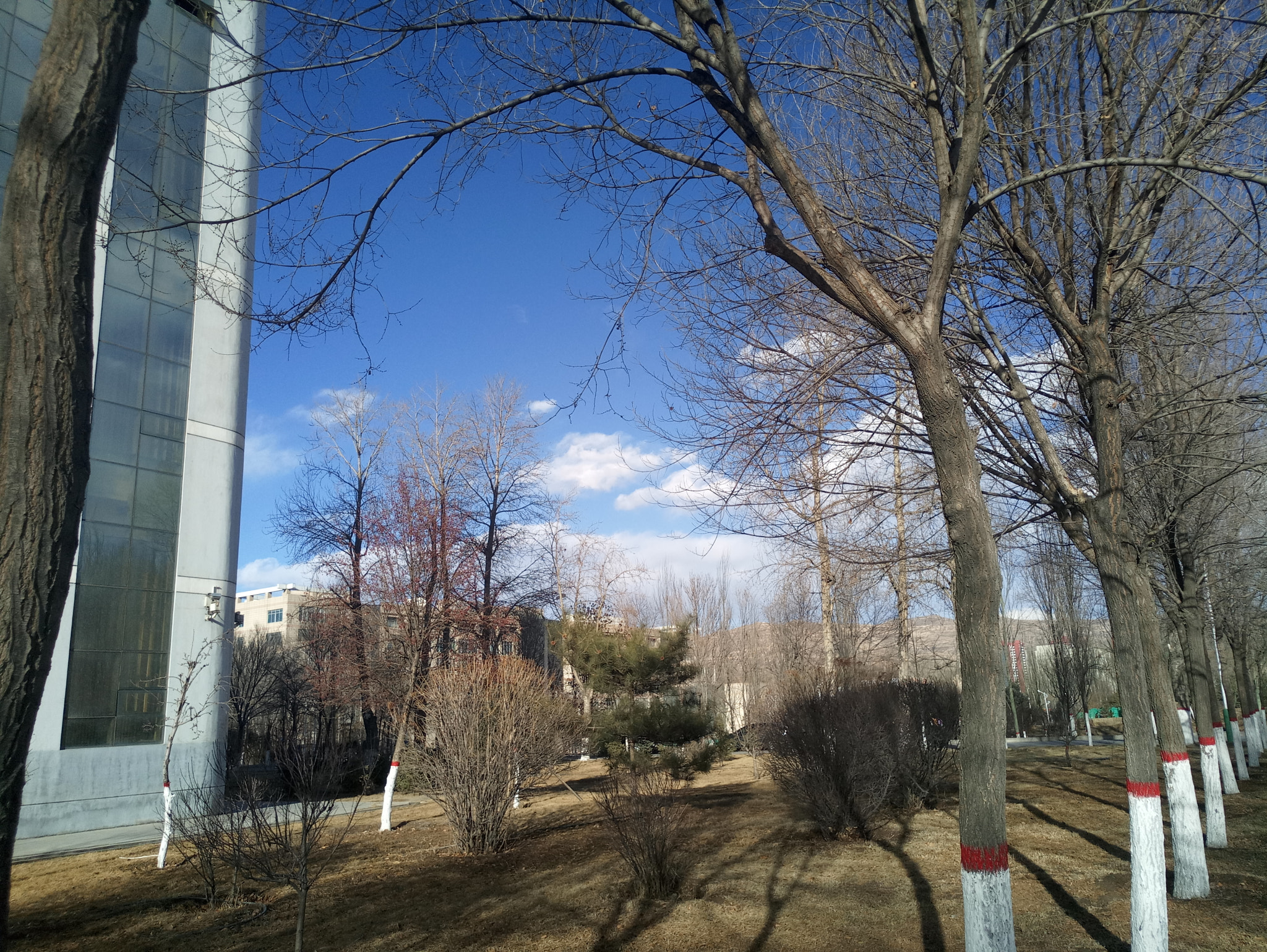 Meizu M3X sample photo