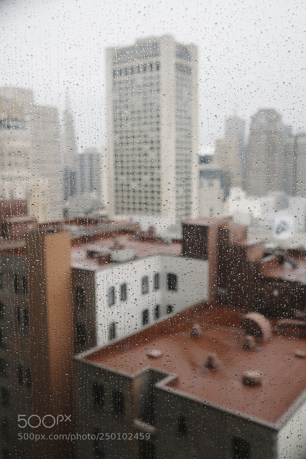 Sony a6300 sample photo. San francisco | california photography