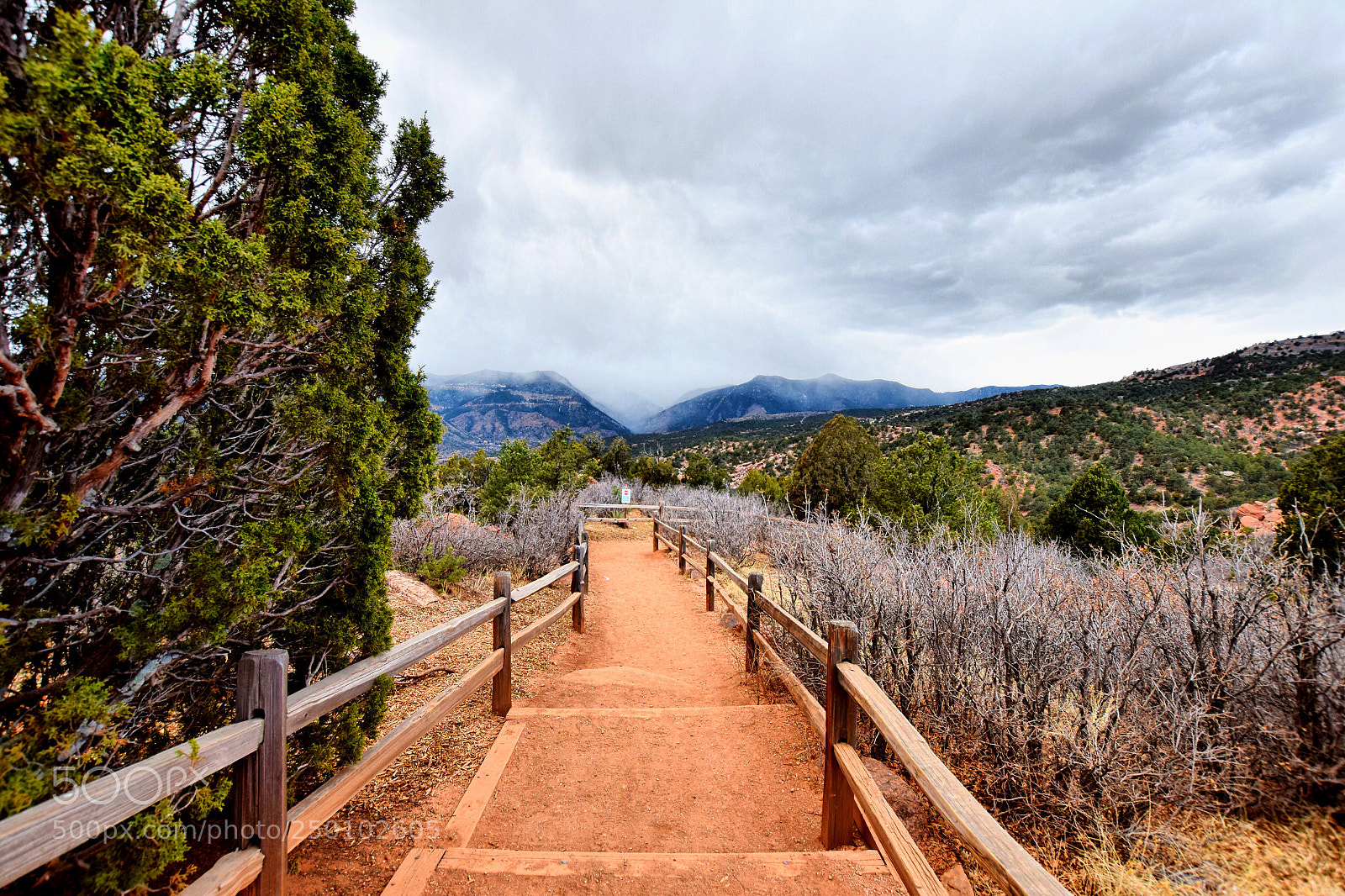 Nikon D5300 sample photo. Path to heaven photography
