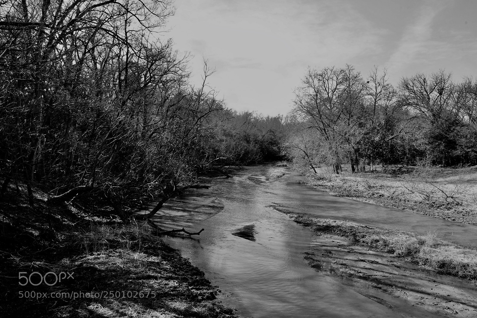 Nikon D500 sample photo. Creek in rural kansas  photography
