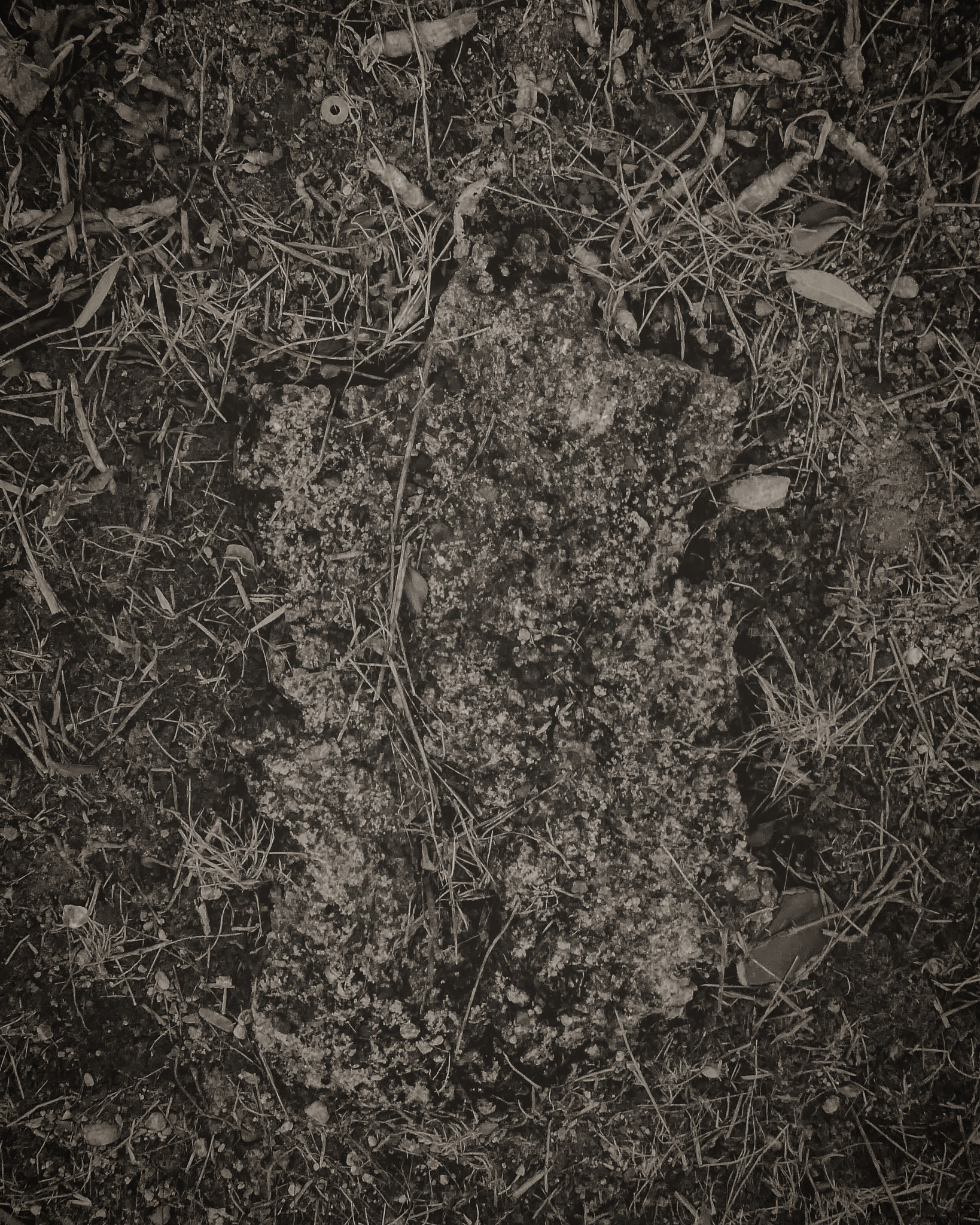 Panasonic DMC-TZ85 sample photo
