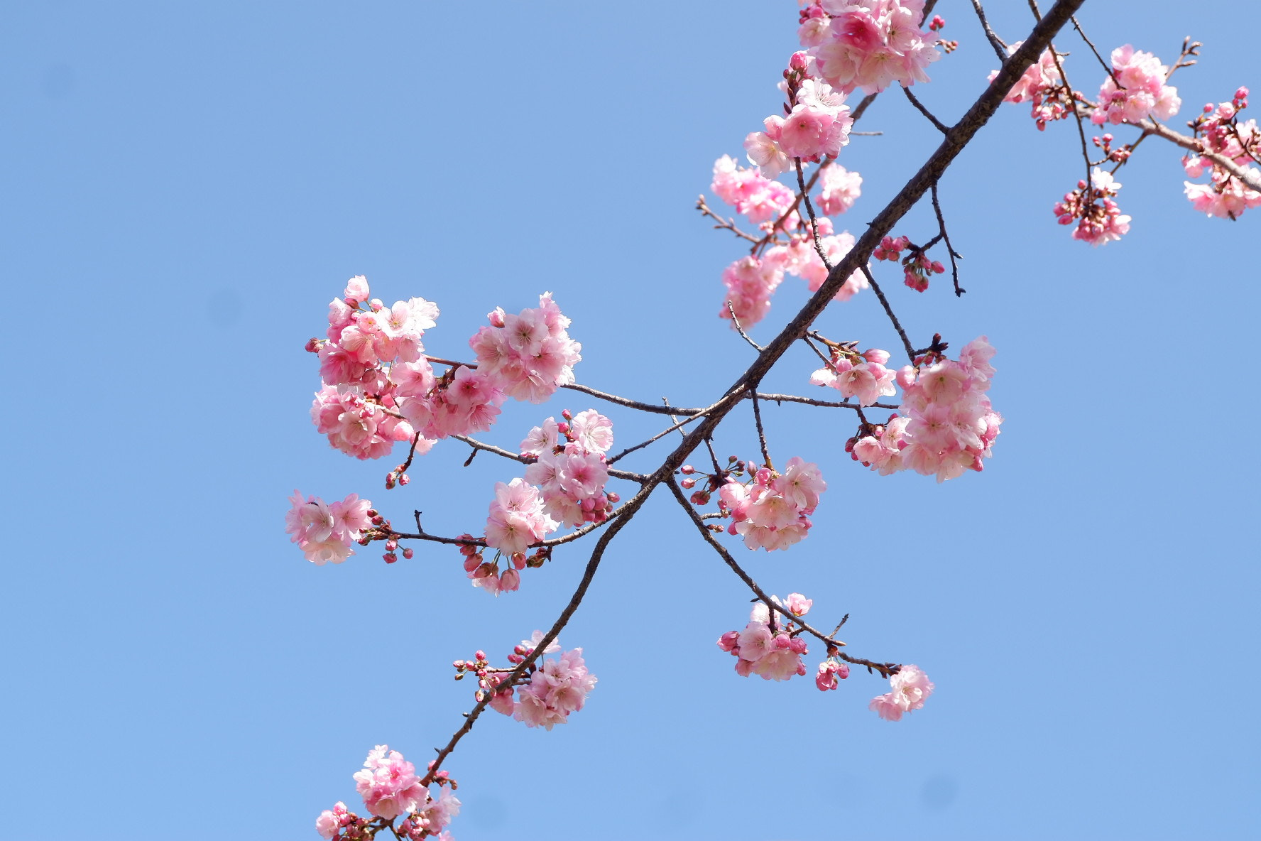 Fujifilm X-A10 sample photo