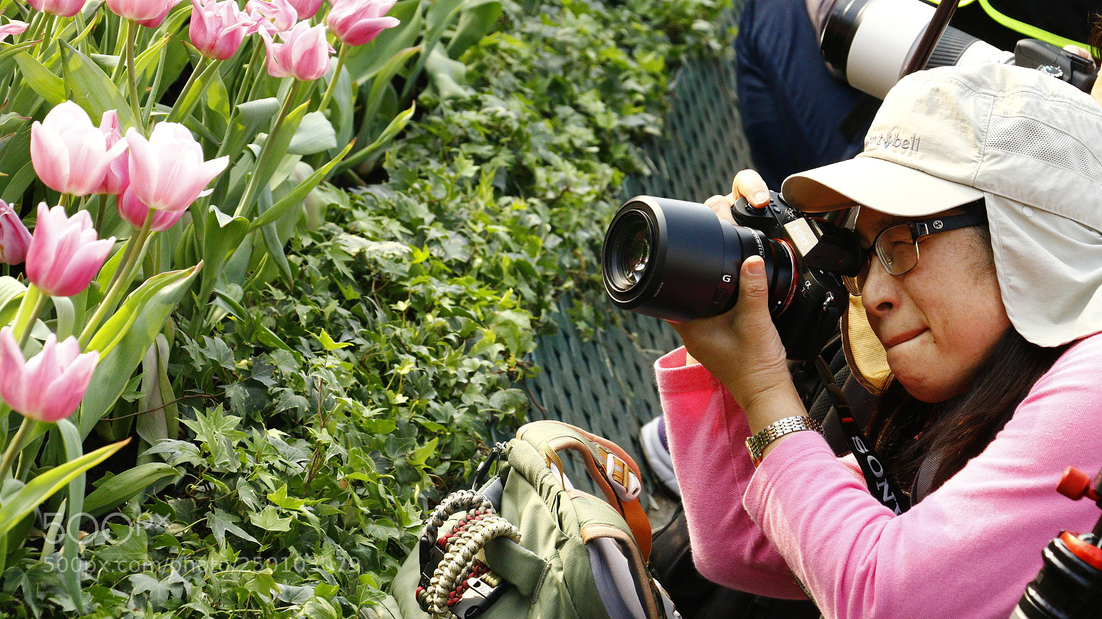 Canon EOS 70D sample photo. Concentrate photography