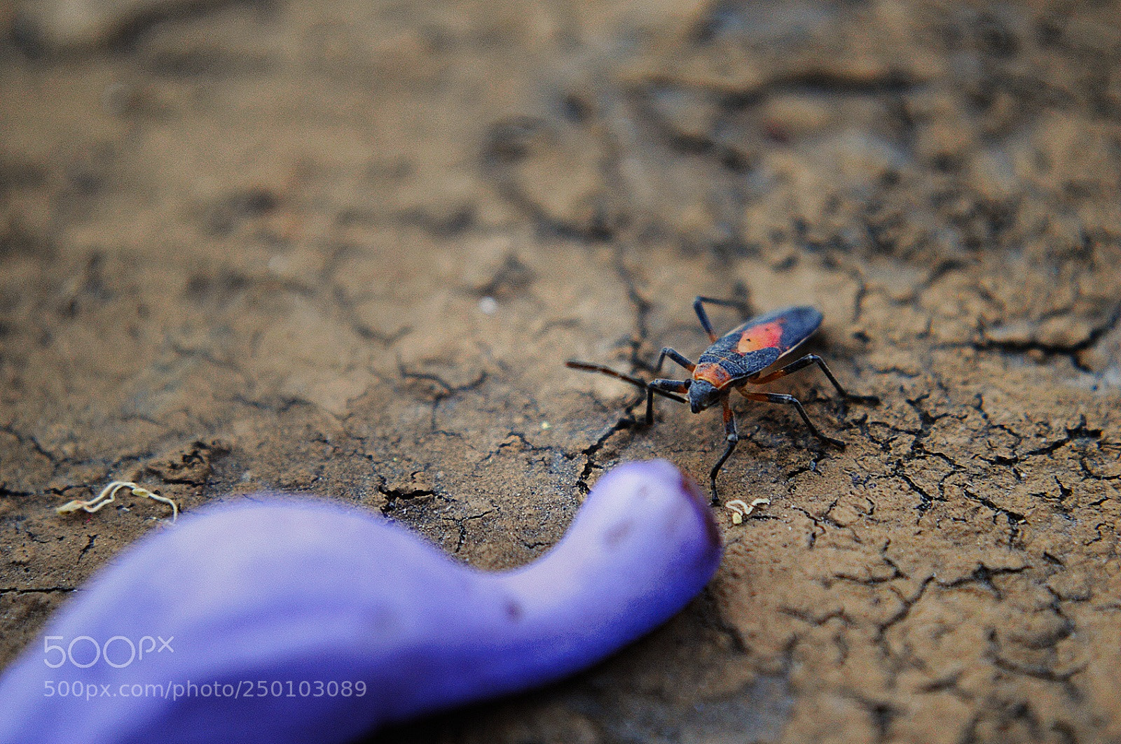 Nikon D3200 sample photo. Untitled photography