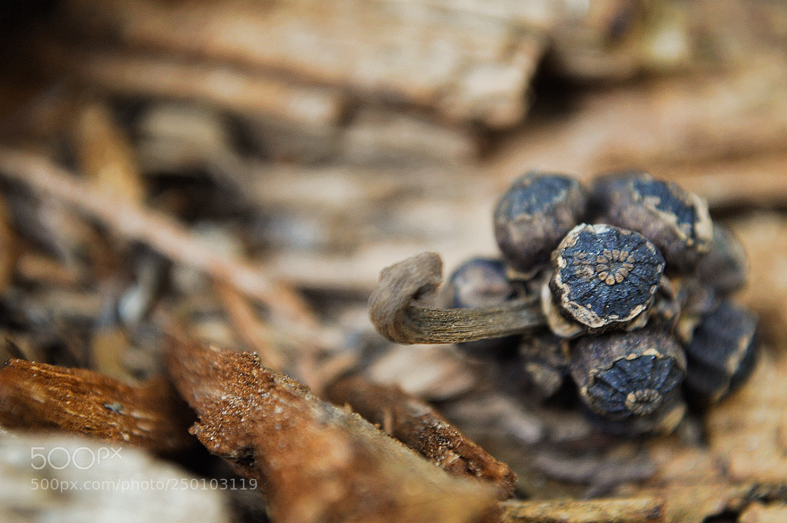 Nikon D3200 sample photo. Untitled photography