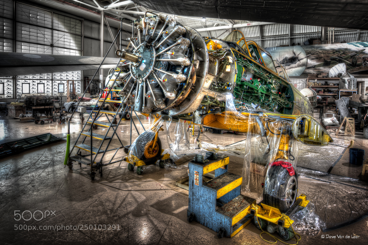 Nikon D810 sample photo. 1951 north american harvard photography