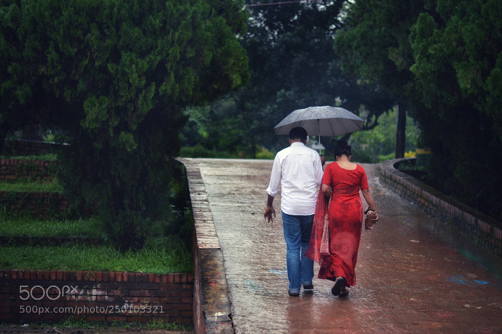 Nikon D3200 sample photo. Romantic rain..... photography