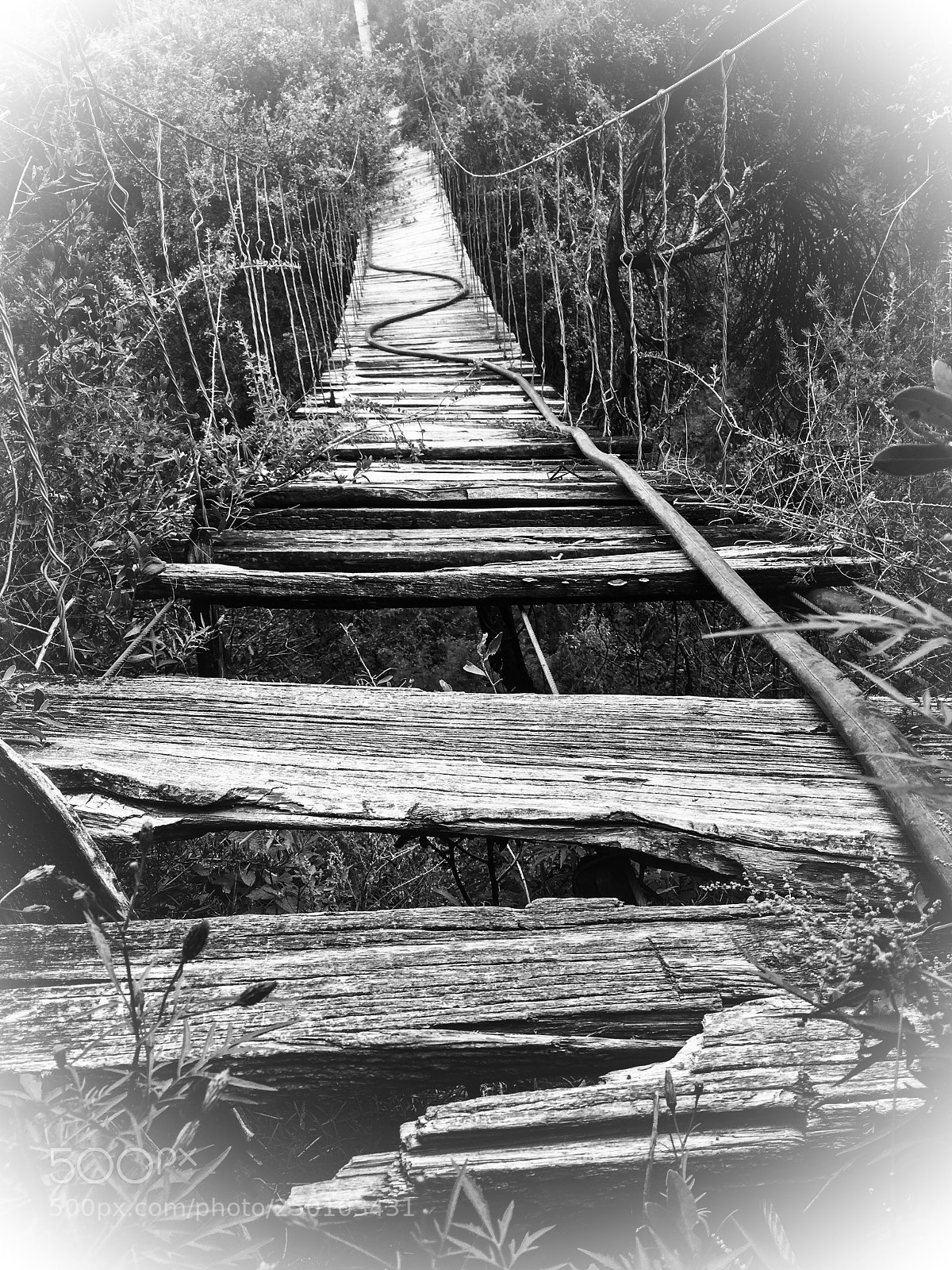 Apple iPhone SE sample photo. Troubled bridge over water photography
