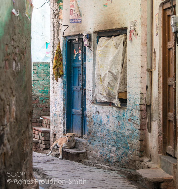 Canon EOS 5D Mark IV sample photo. Mathura, india photography