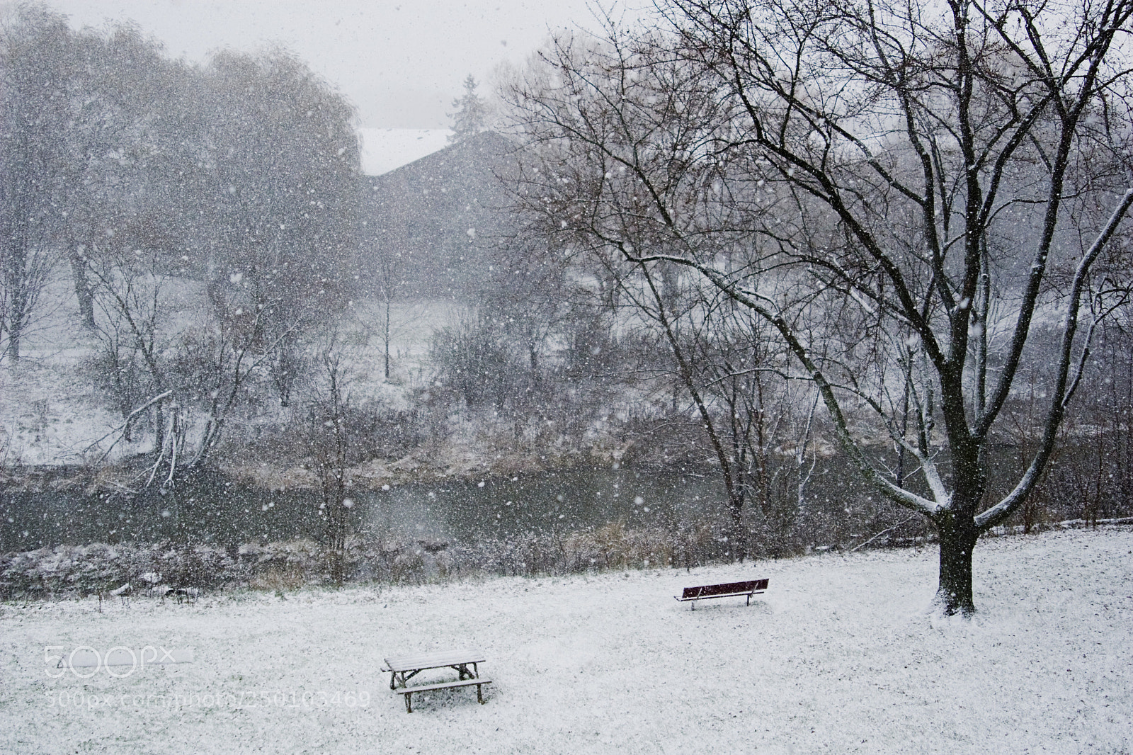 Canon EOS 30D sample photo. Heavy snow photography