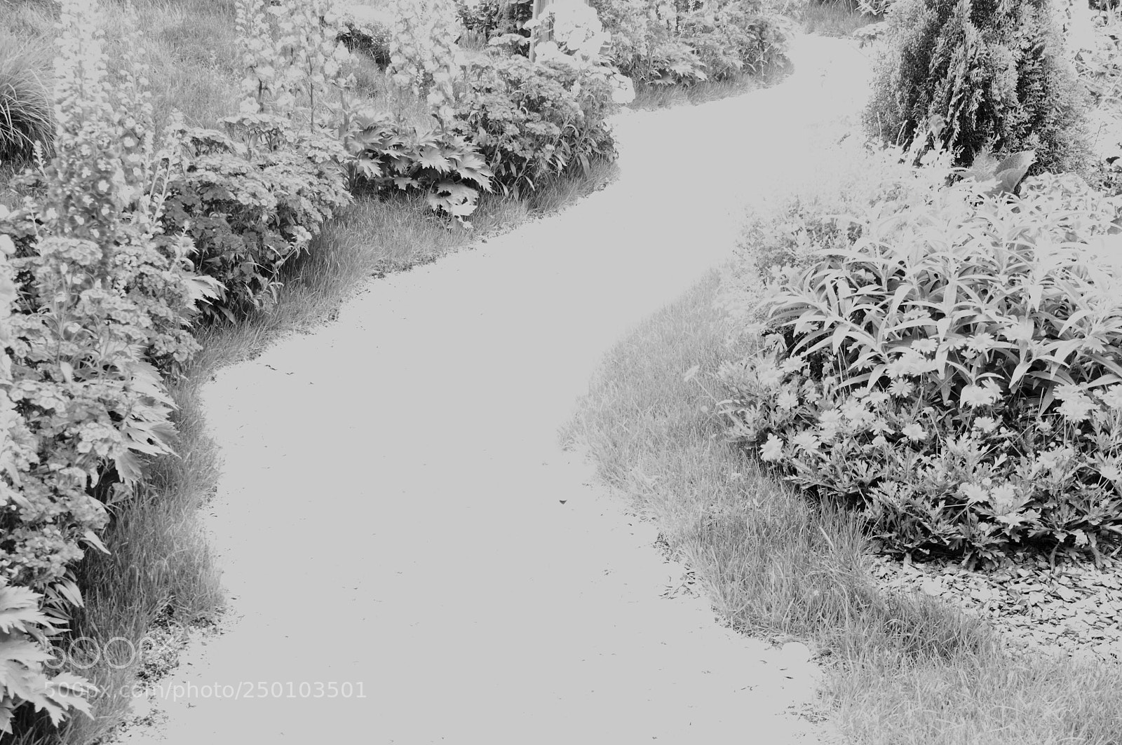 Nikon D90 sample photo. A white road photography