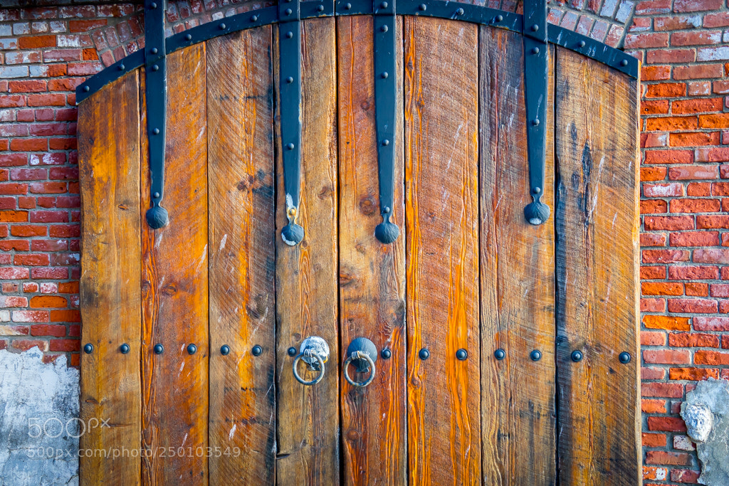 Sony a7 II sample photo. Untitled photography