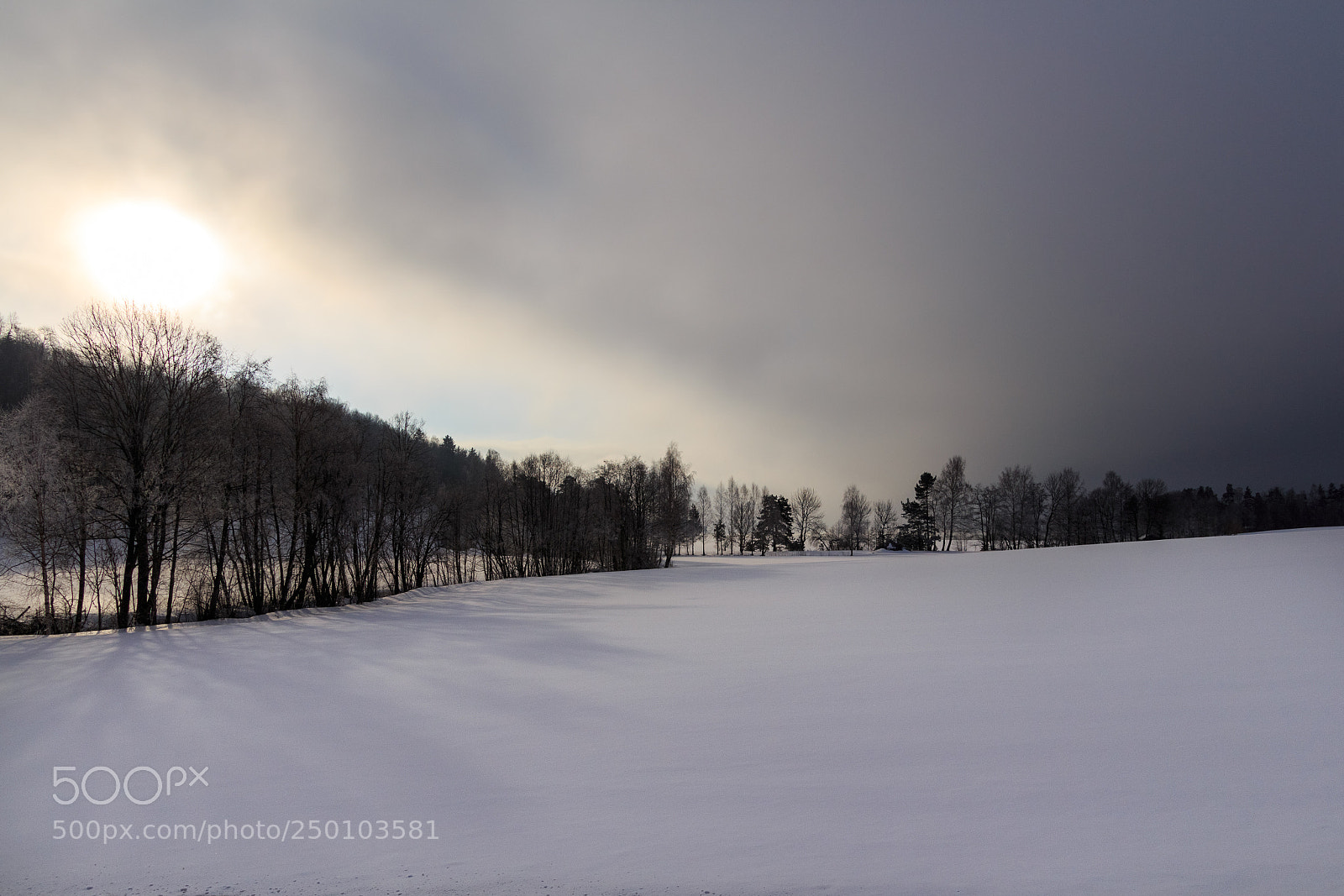 Canon EOS 700D (EOS Rebel T5i / EOS Kiss X7i) sample photo. Foggy morning photography