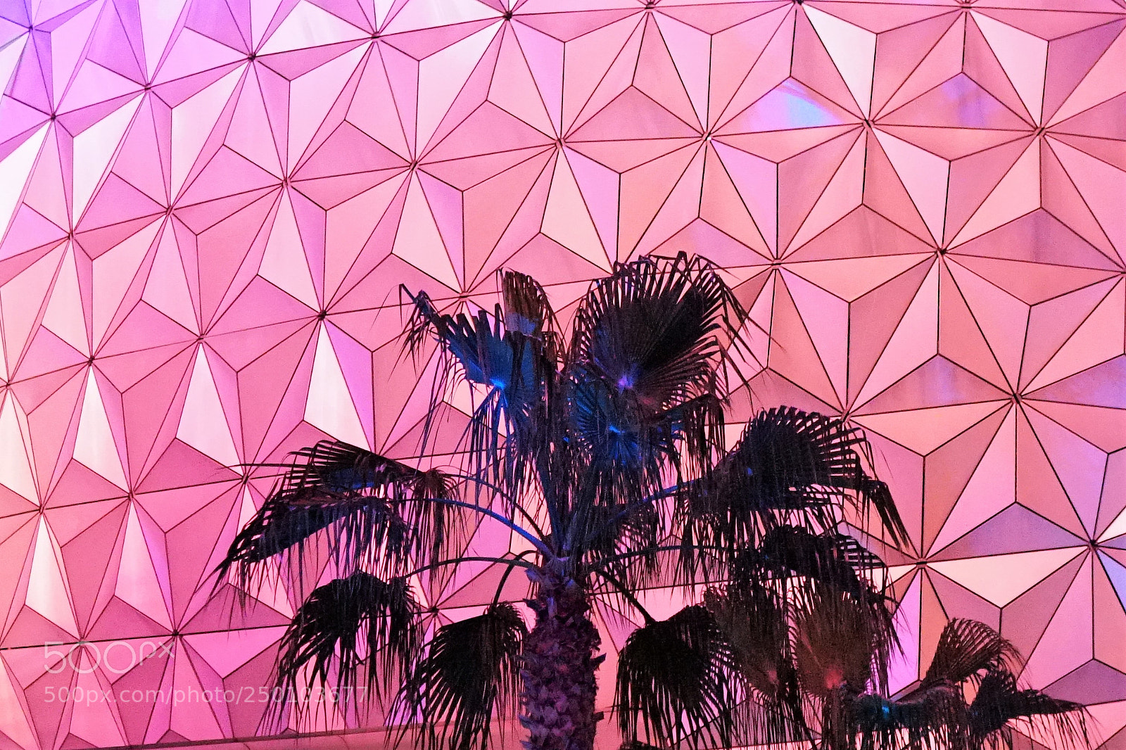 Sony a6500 sample photo. Epcot at night photography