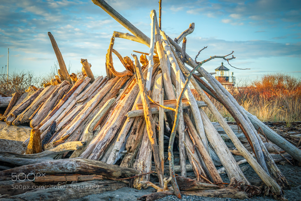 Sony a7 II sample photo. Beach structure photography
