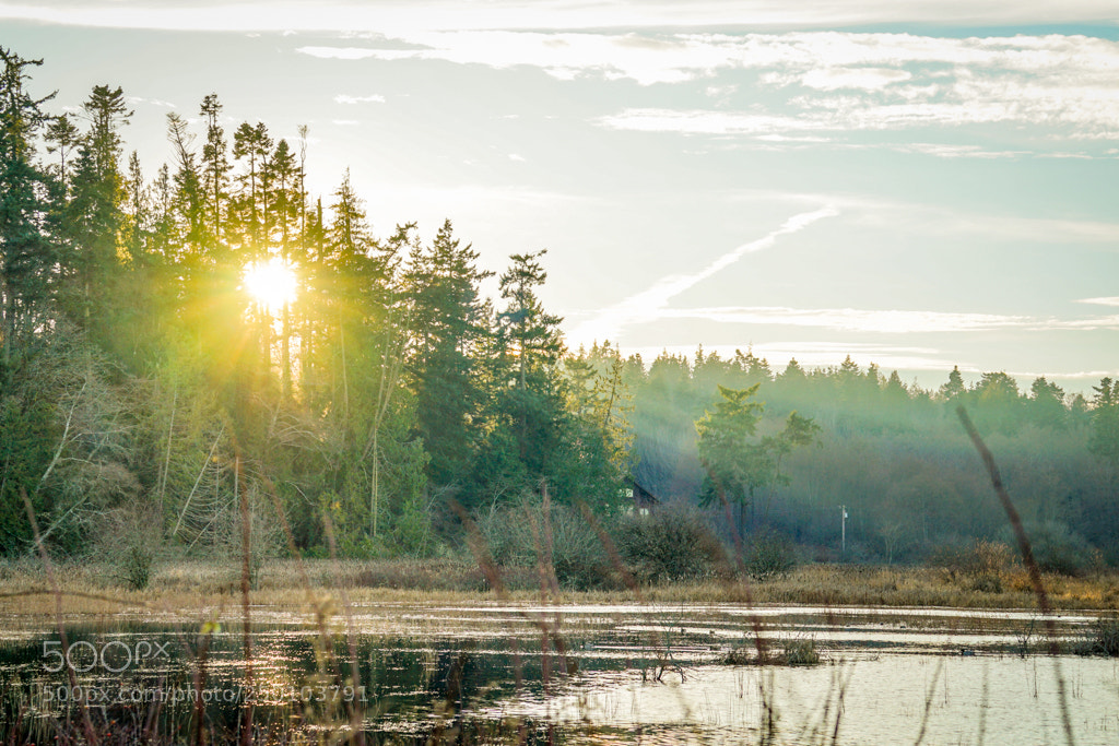 Sony a7 II sample photo. Pond at sunset photography