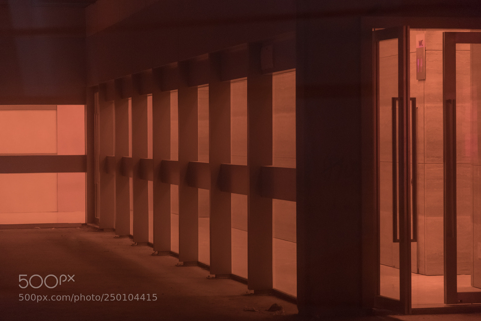 Canon EOS 5D Mark IV sample photo. Untitled photography