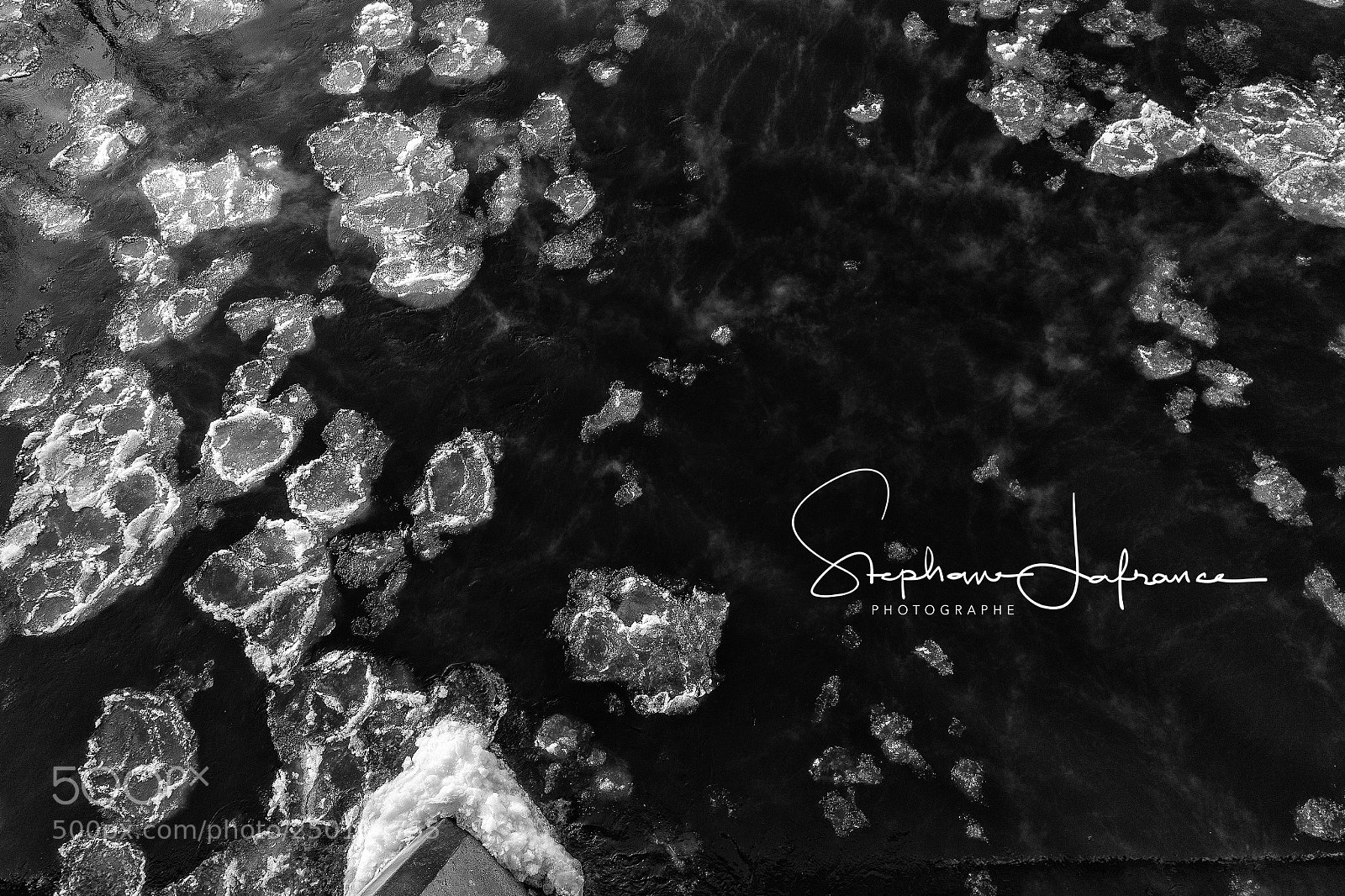 Canon EOS-1D X Mark II sample photo. Defi photography