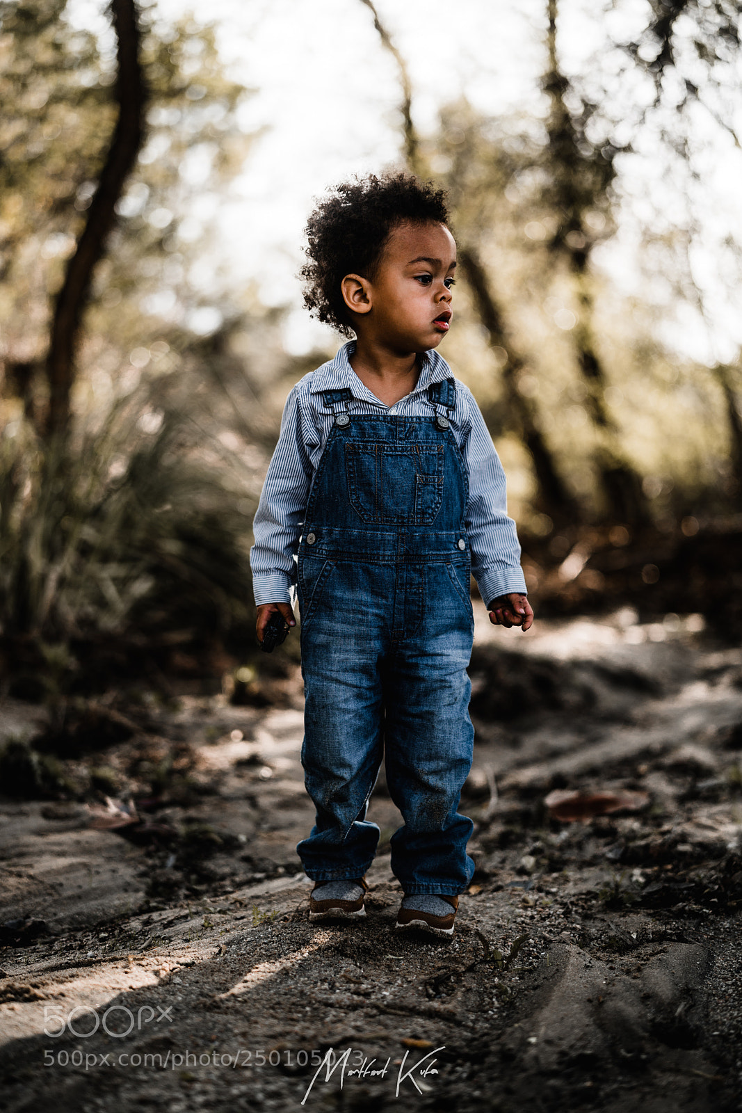 Sony a7R II sample photo. New photo stomping grounds photography