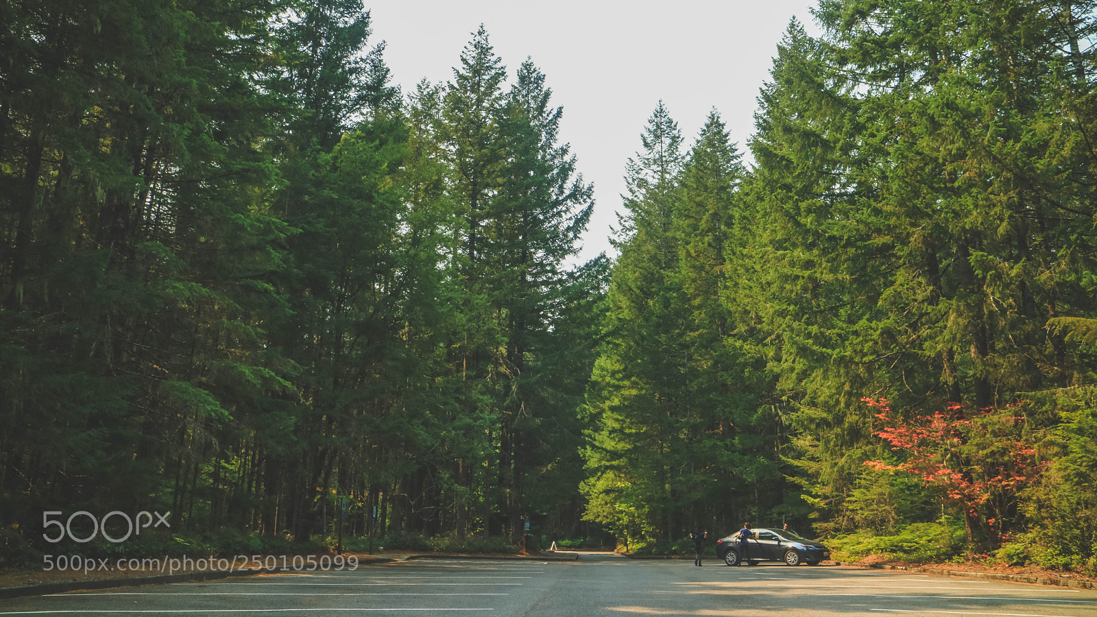 Canon EOS M3 sample photo. Seatle edits photography