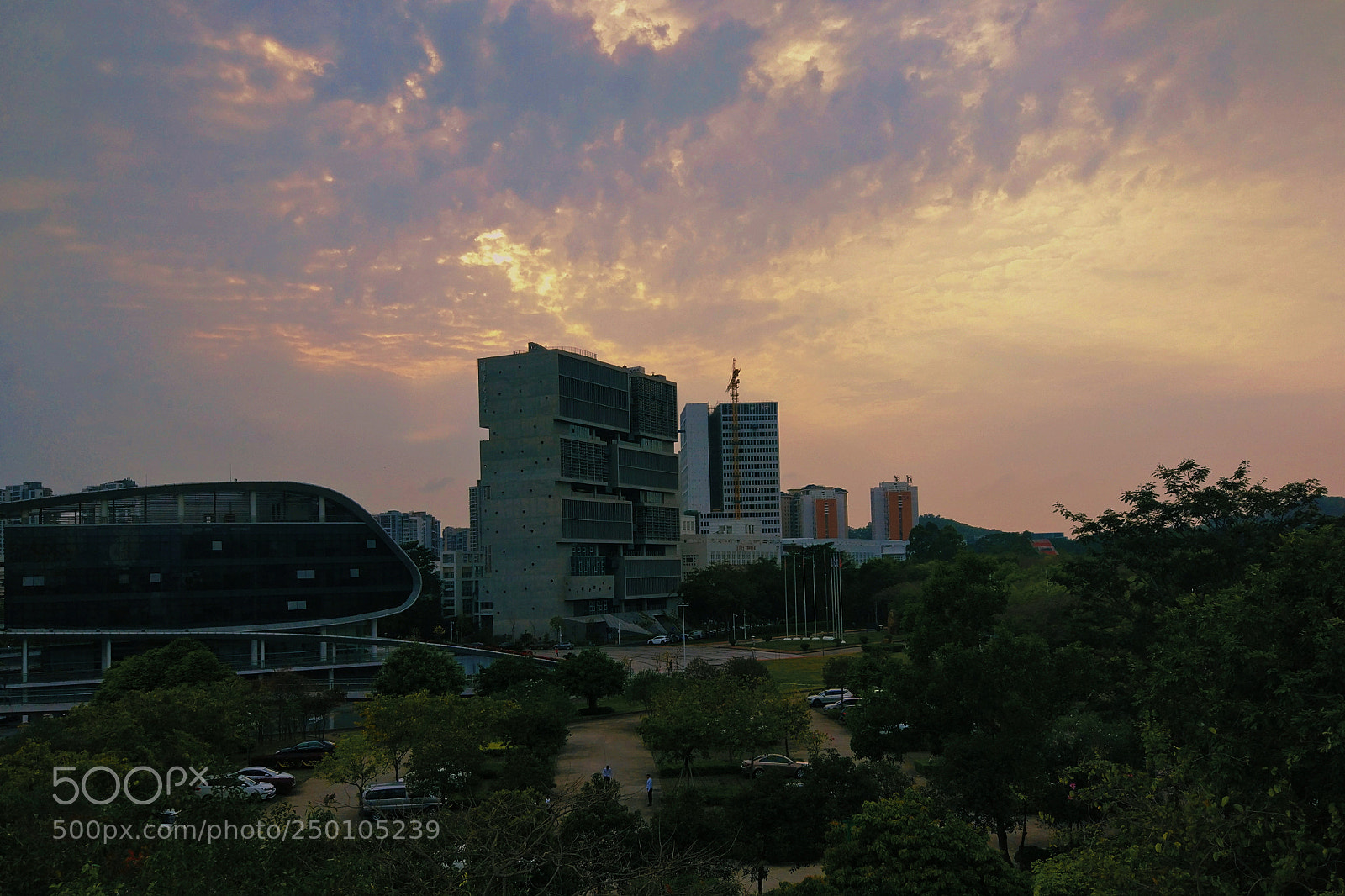 Xiaomi MI 5 sample photo. Untitled photography