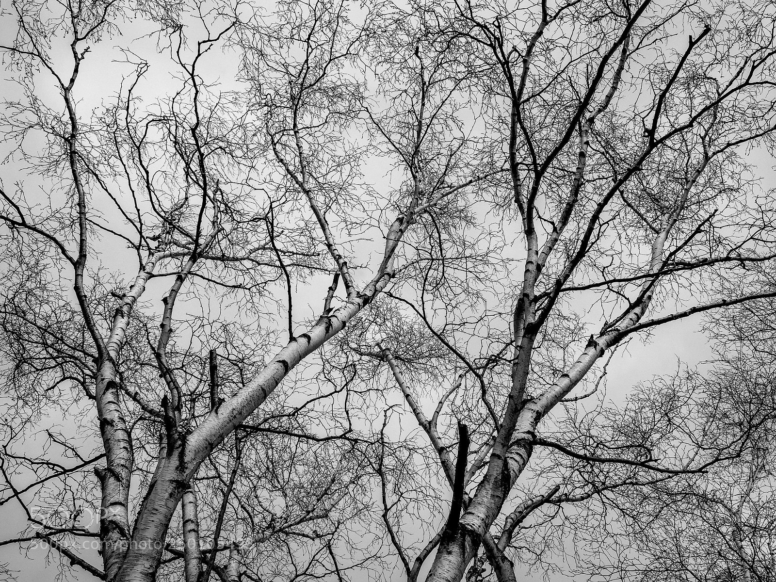 Canon EOS 1200D (EOS Rebel T5 / EOS Kiss X70 / EOS Hi) sample photo. Introspective photography