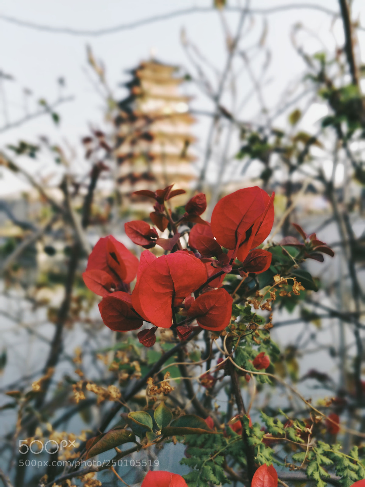 OnePlus 5 sample photo. Untitled photography