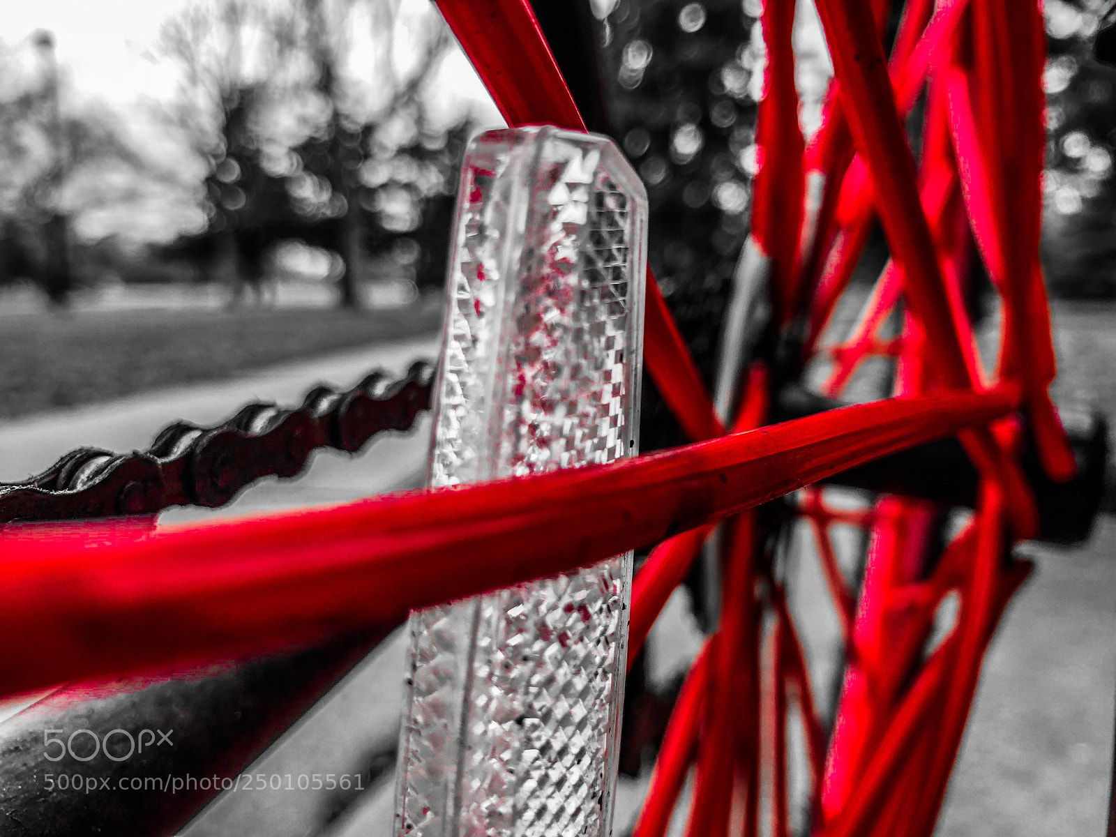 Apple iPhone X sample photo. Bicycle red spokes photography