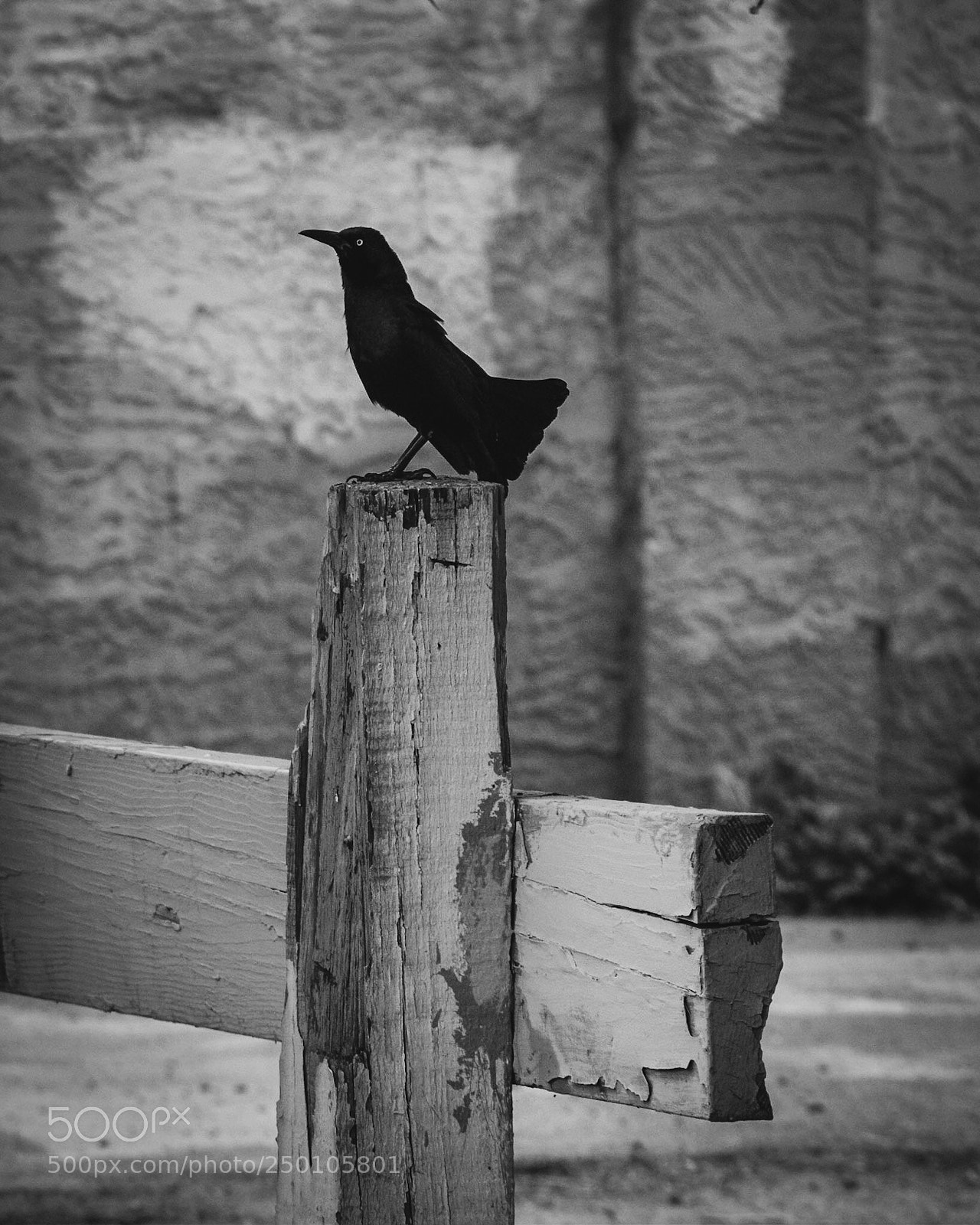 Nikon D3300 sample photo. Ominous  photography