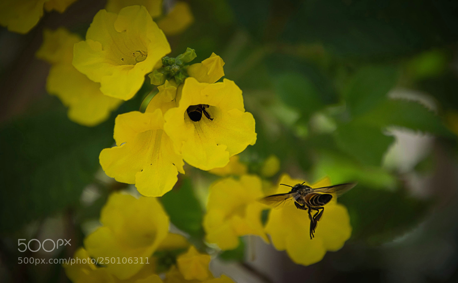 Nikon D5100 sample photo. Untitled photography