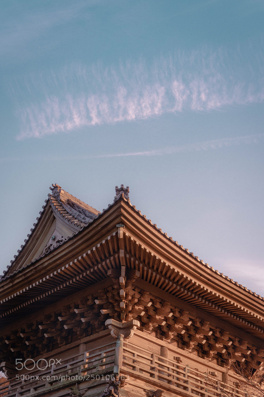 Sony a6500 sample photo. Untitled photography