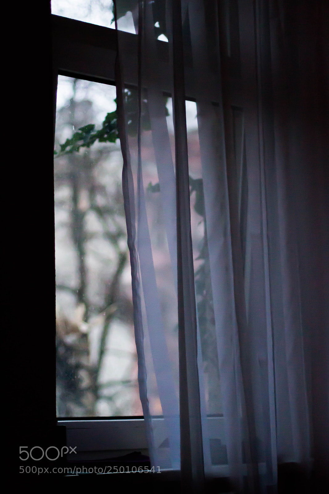 Canon EOS 100D (EOS Rebel SL1 / EOS Kiss X7) sample photo. Quiet morning window photography