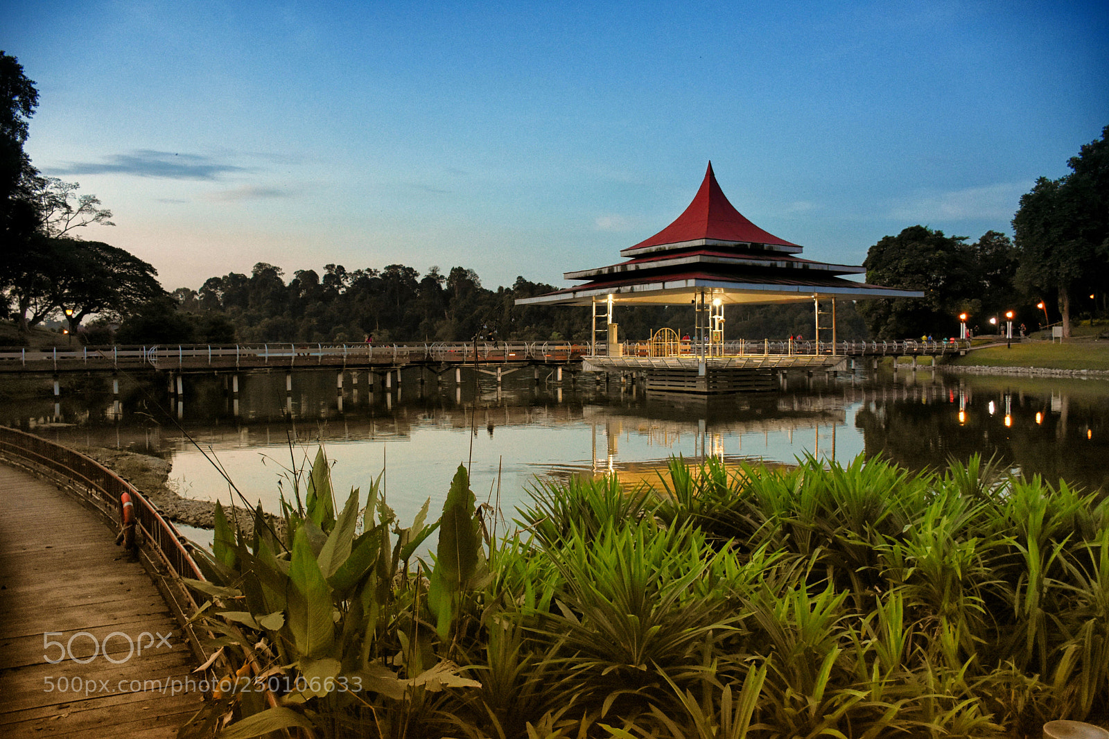 Nikon D7200 sample photo. Macritchie reservoir photography