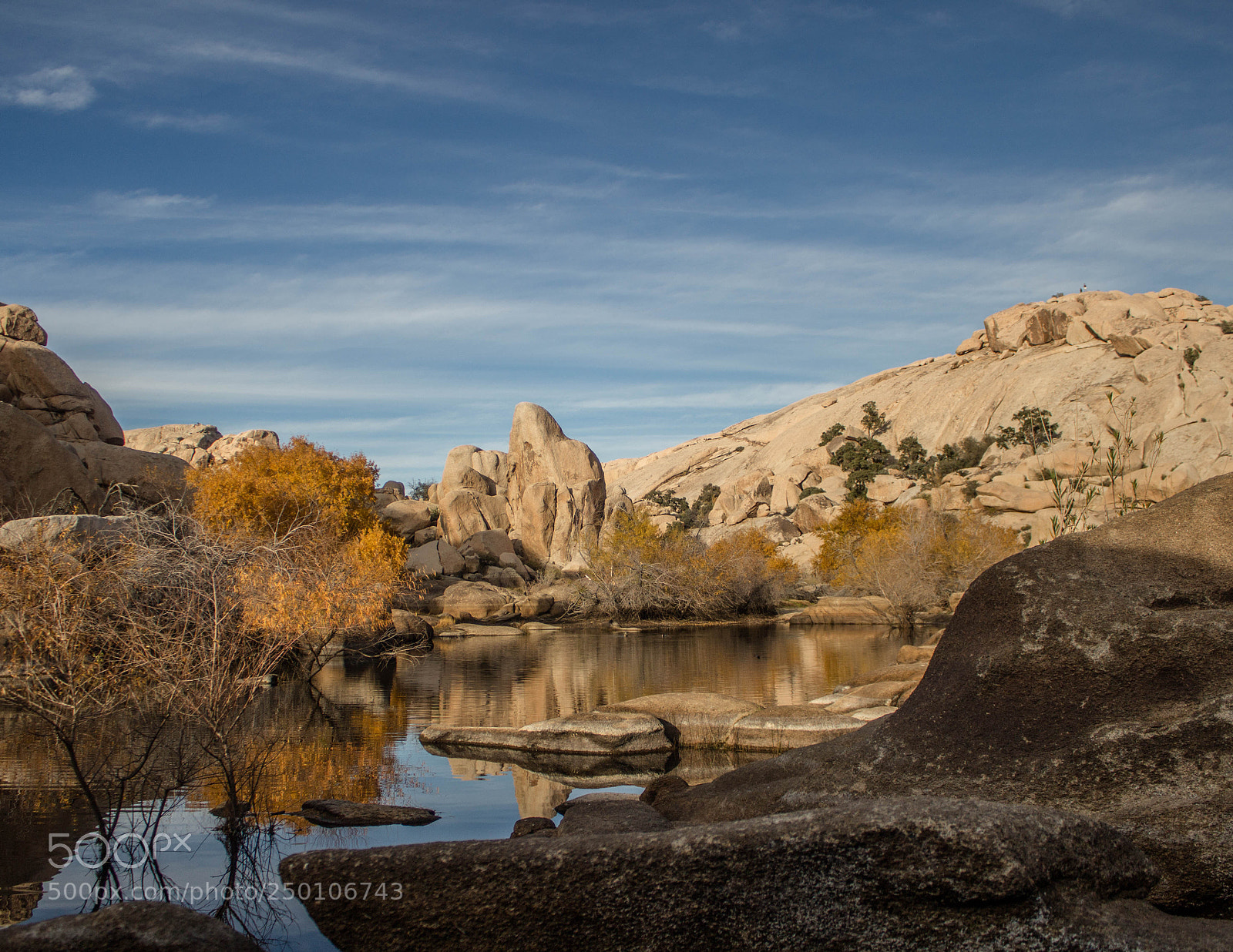 Canon EOS 100D (EOS Rebel SL1 / EOS Kiss X7) sample photo. Joshua tree oasis photography