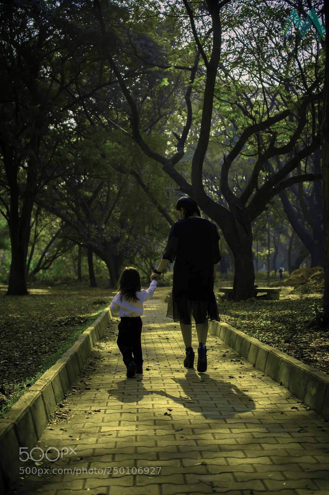 Nikon D7200 sample photo. Mother's love photography
