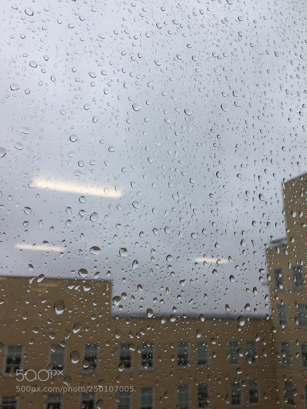 Apple iPhone 6 sample photo. My view  photography