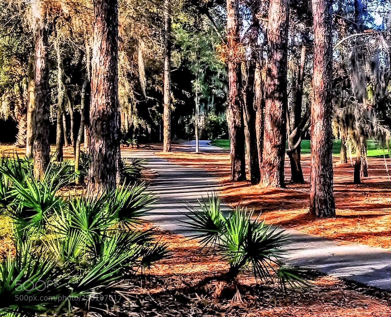 Samsung Galaxy S4 Mini sample photo. Walk in the park photography