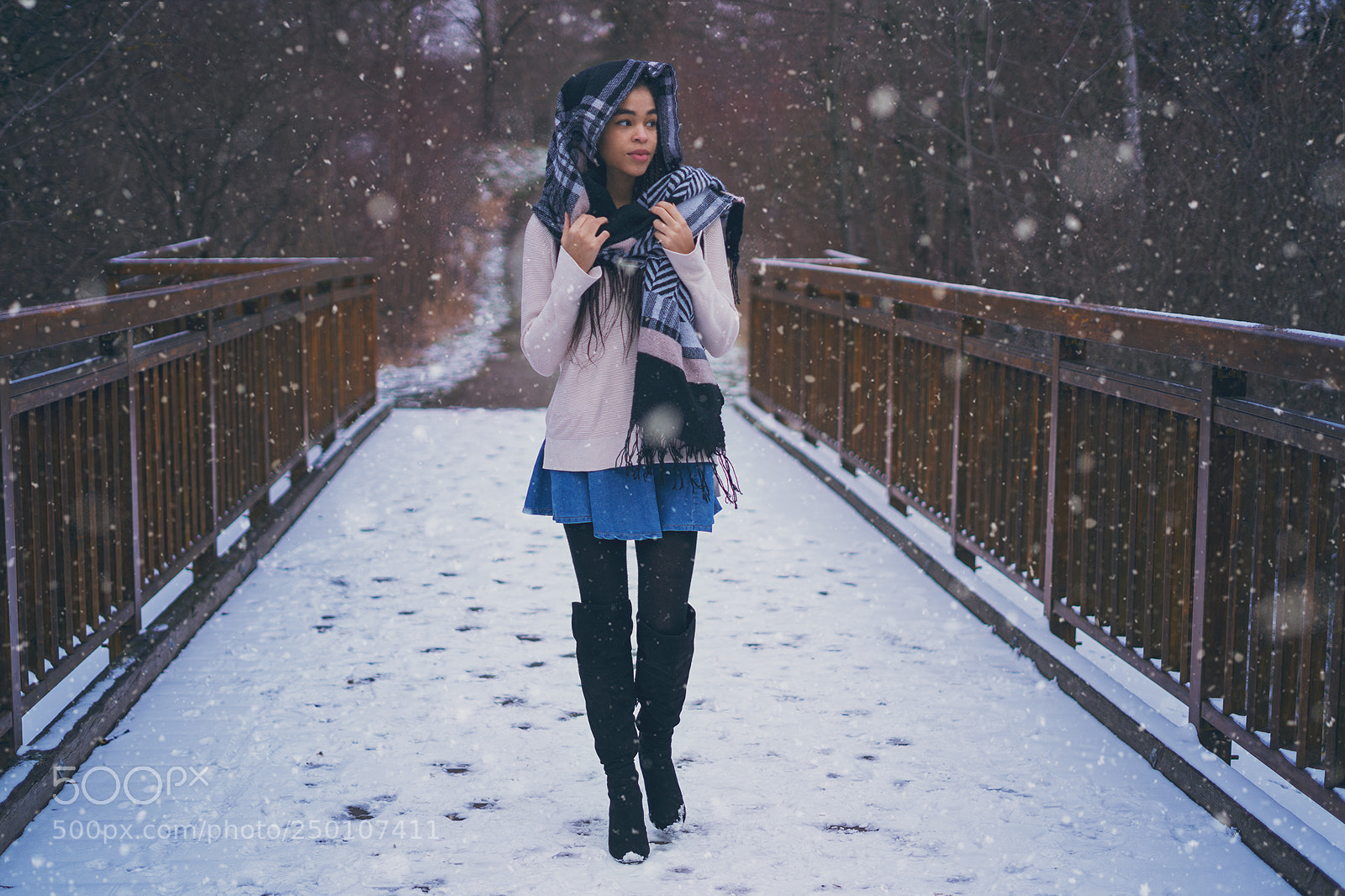 Sony a7R II sample photo. Winter walk photography