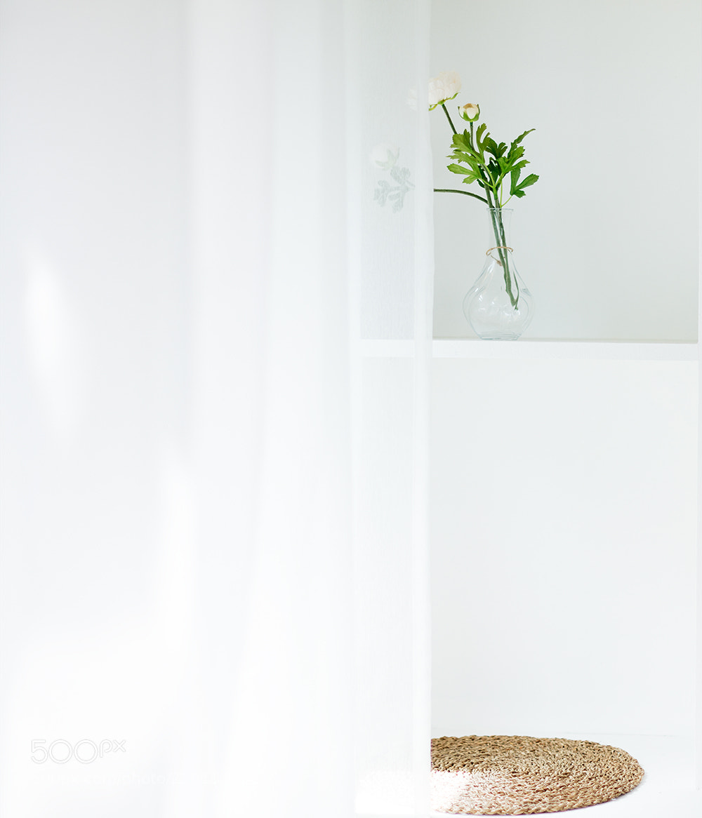 Canon EOS 5DS R sample photo. Sunlight is perfect 阳光正好 photography