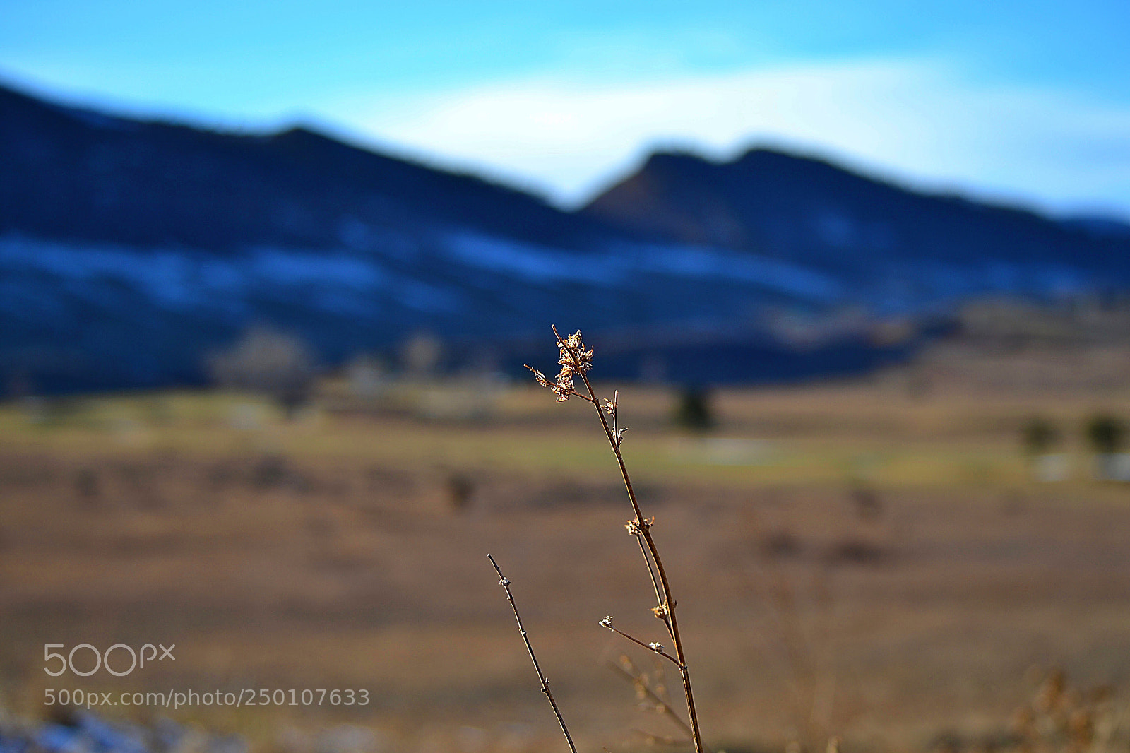 Nikon D3100 sample photo. Alone. photography