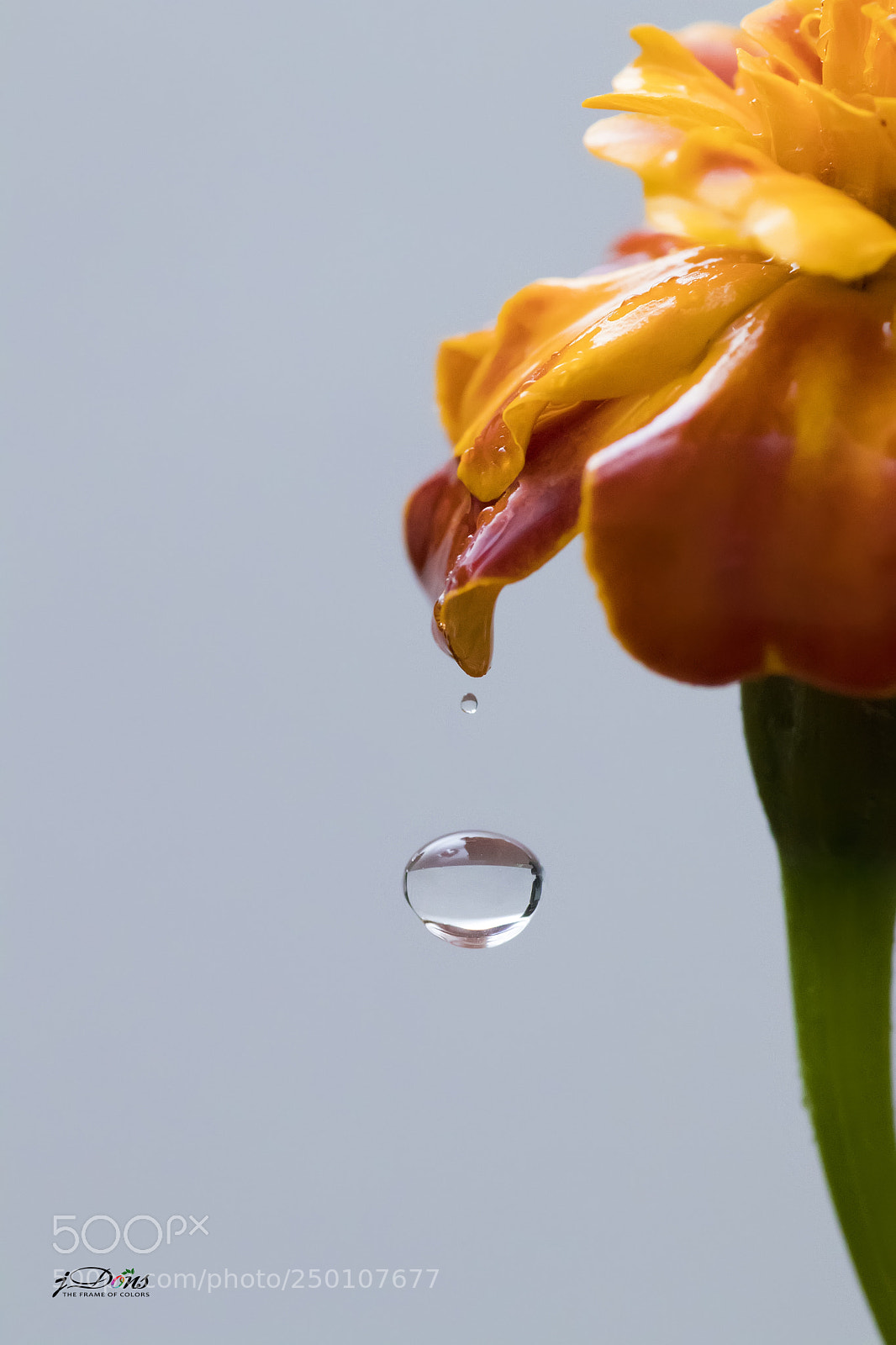 Canon EOS 80D sample photo. Water drop photography