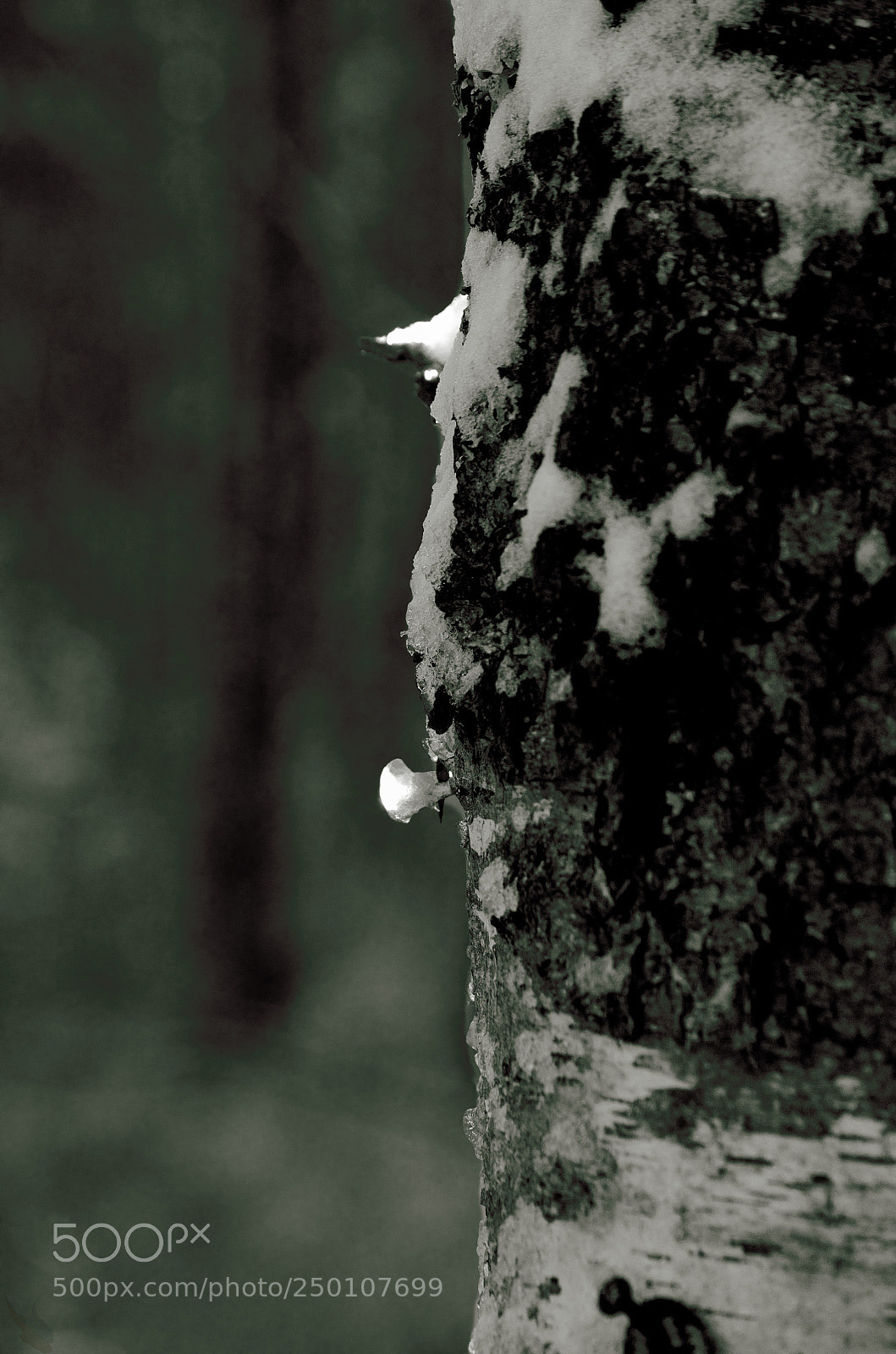 Nikon D7000 sample photo. Daybreak 3 photography