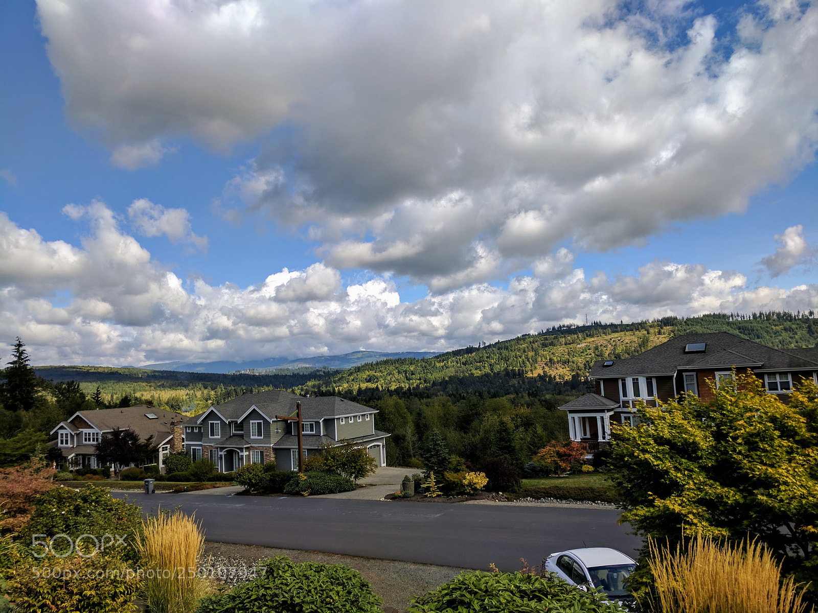 Google Pixel XL sample photo. Privet view photography