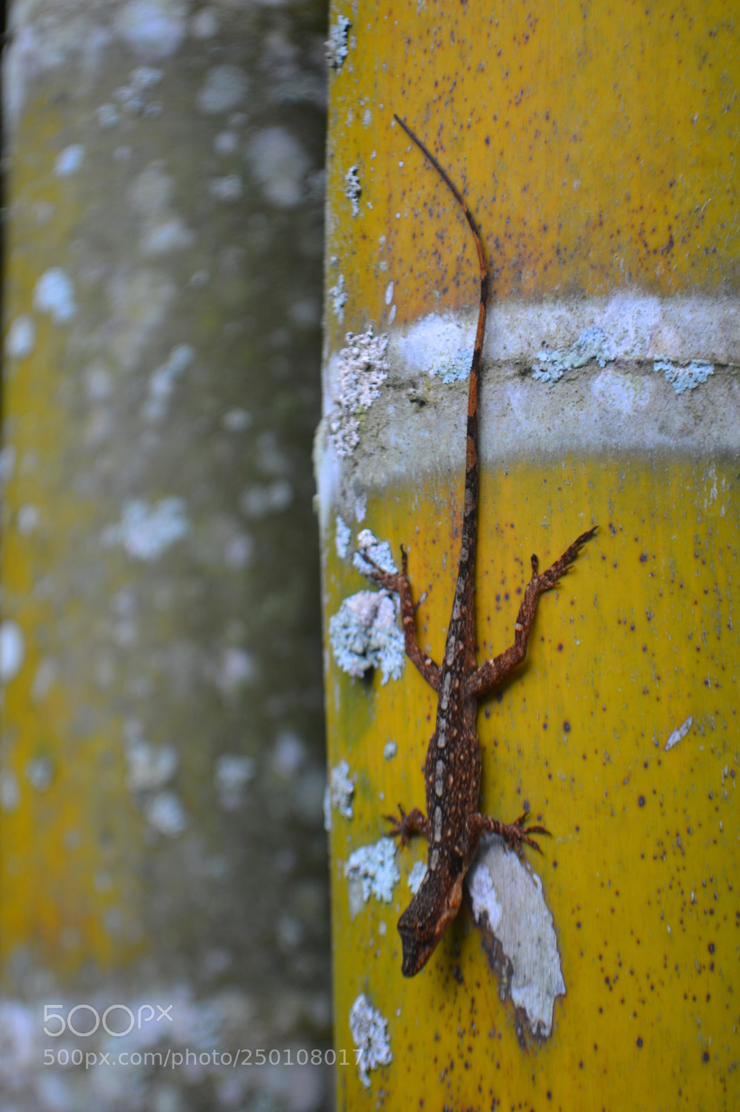 Nikon D3200 sample photo. Untitled photography